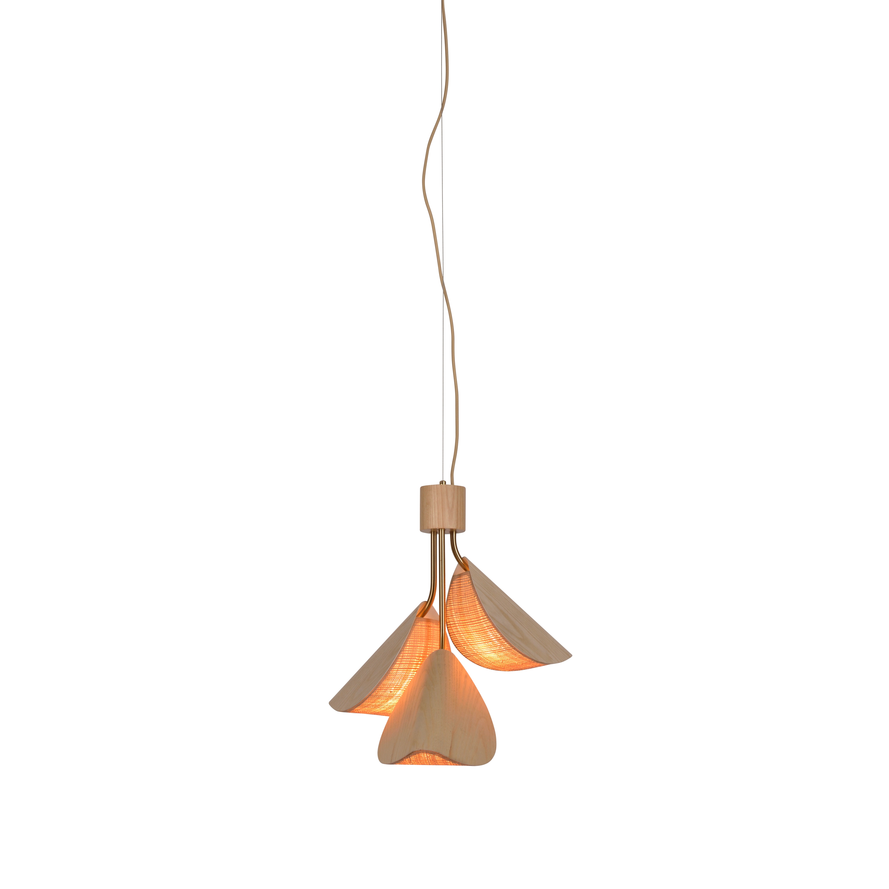 Lys | Pendant lamp | S wood