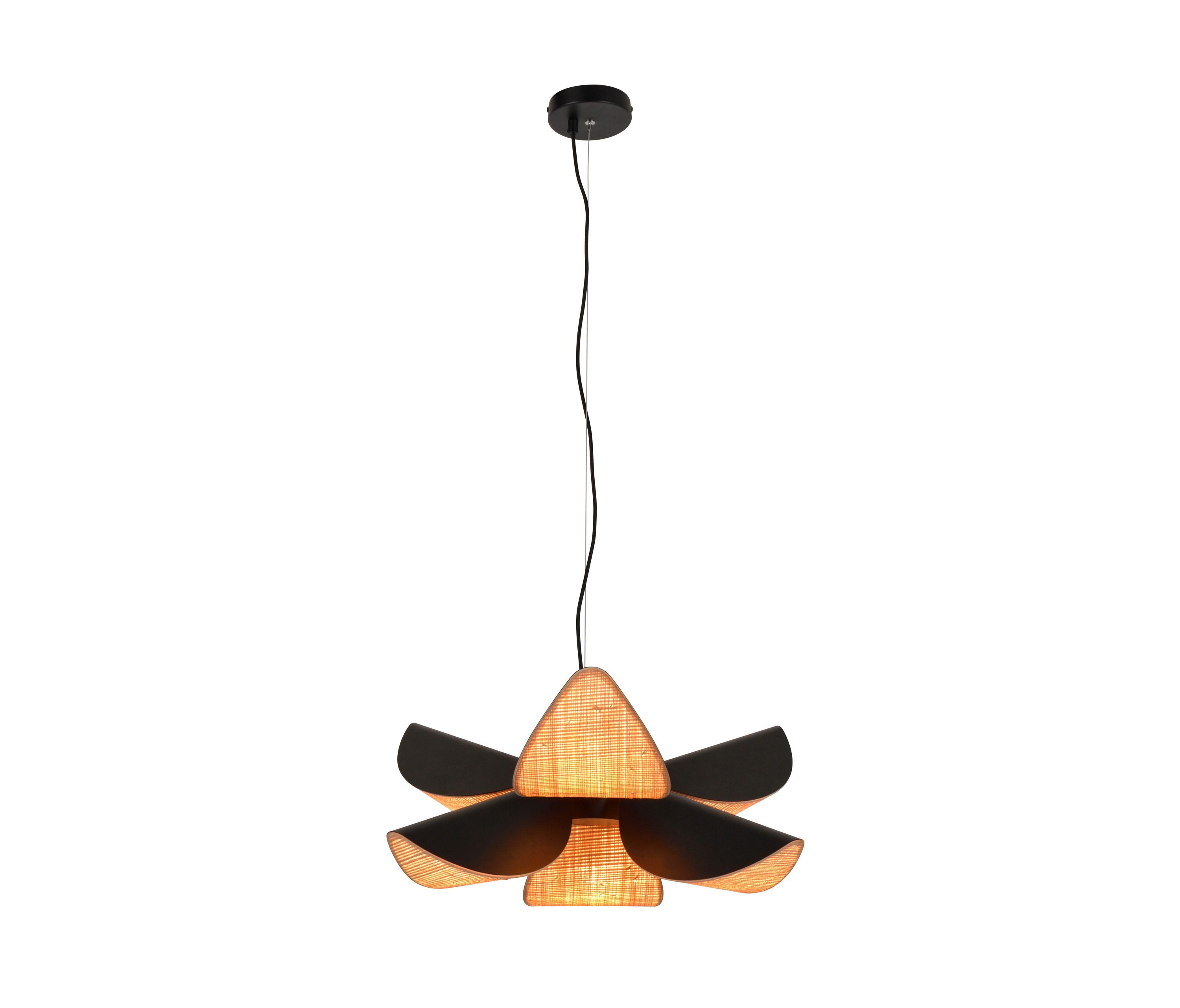Display product Lys | Pendant lamp | M black from manufacturer Forestier
