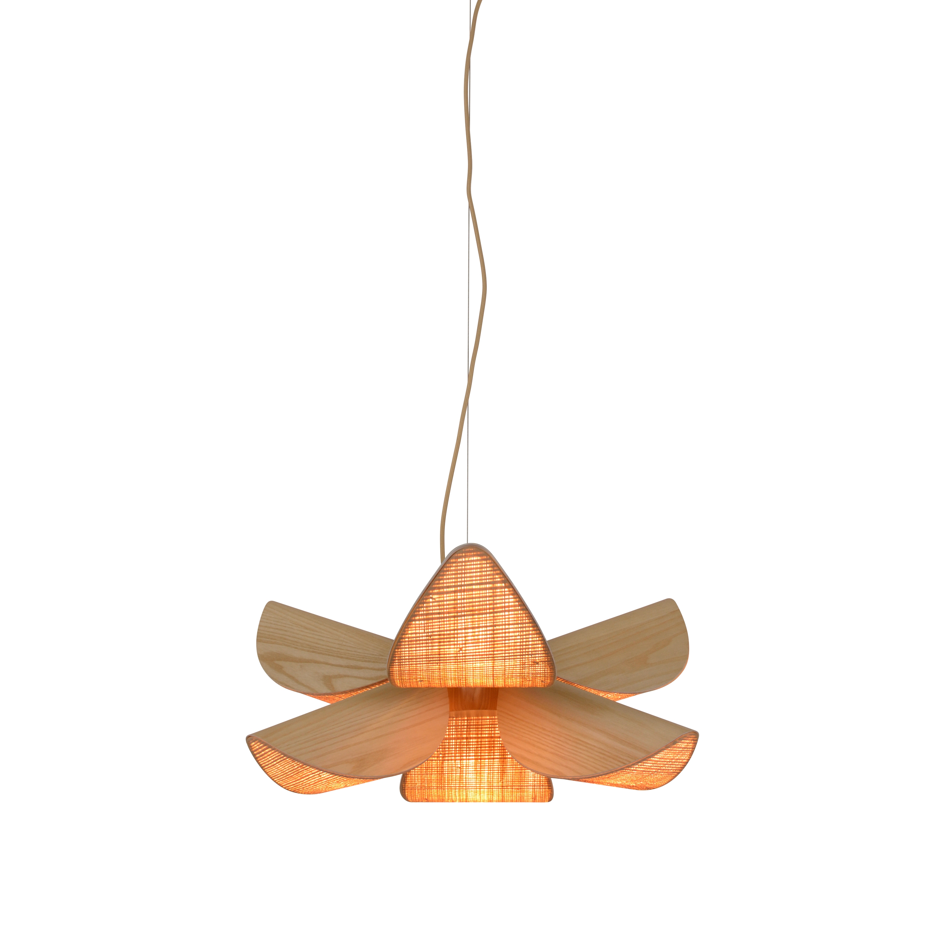 Display product Lys | Pendant lamp | M wood from manufacturer Forestier
