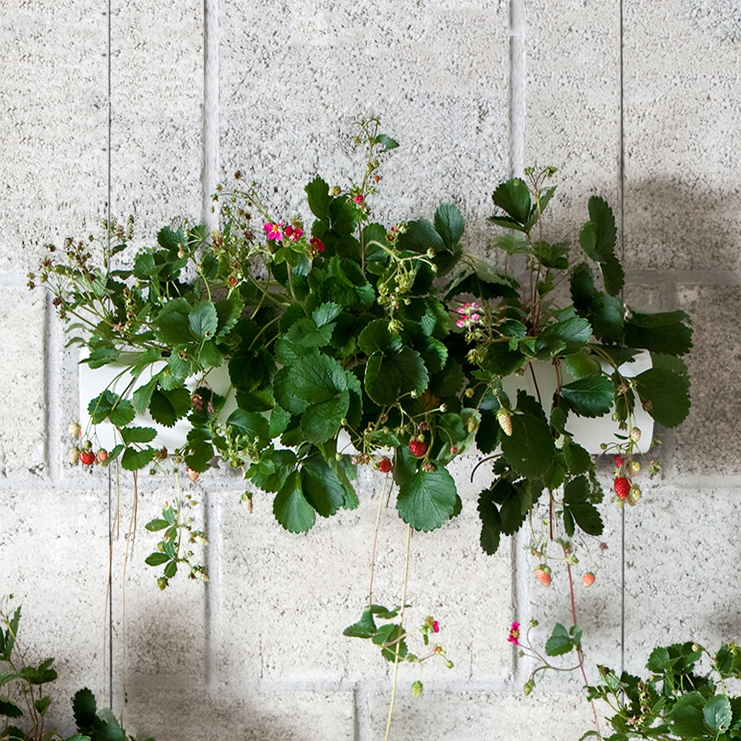 Display product Hanging Garden from manufacturer Urbanature