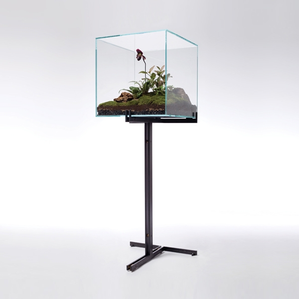 Mostra il prodotto Wardian case collection del produttore Atlas Industries