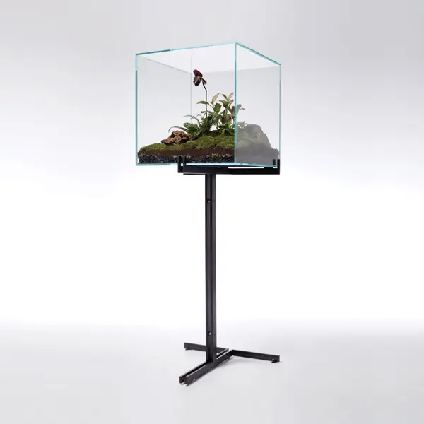 Atlas Industries - Wardian case collection