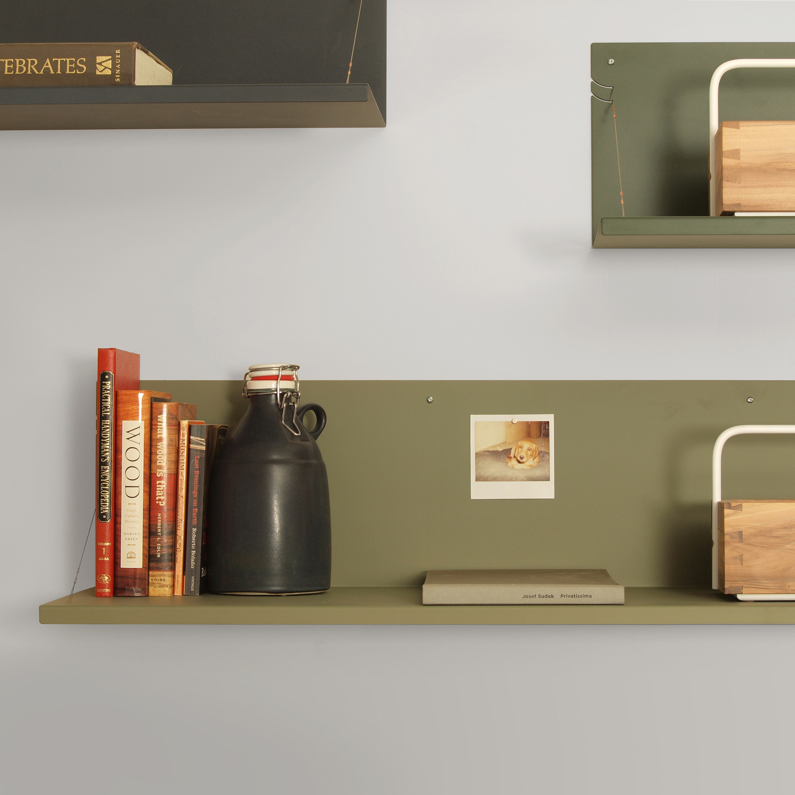 Mostrar el producto independent gil shelving del fabricante Skram