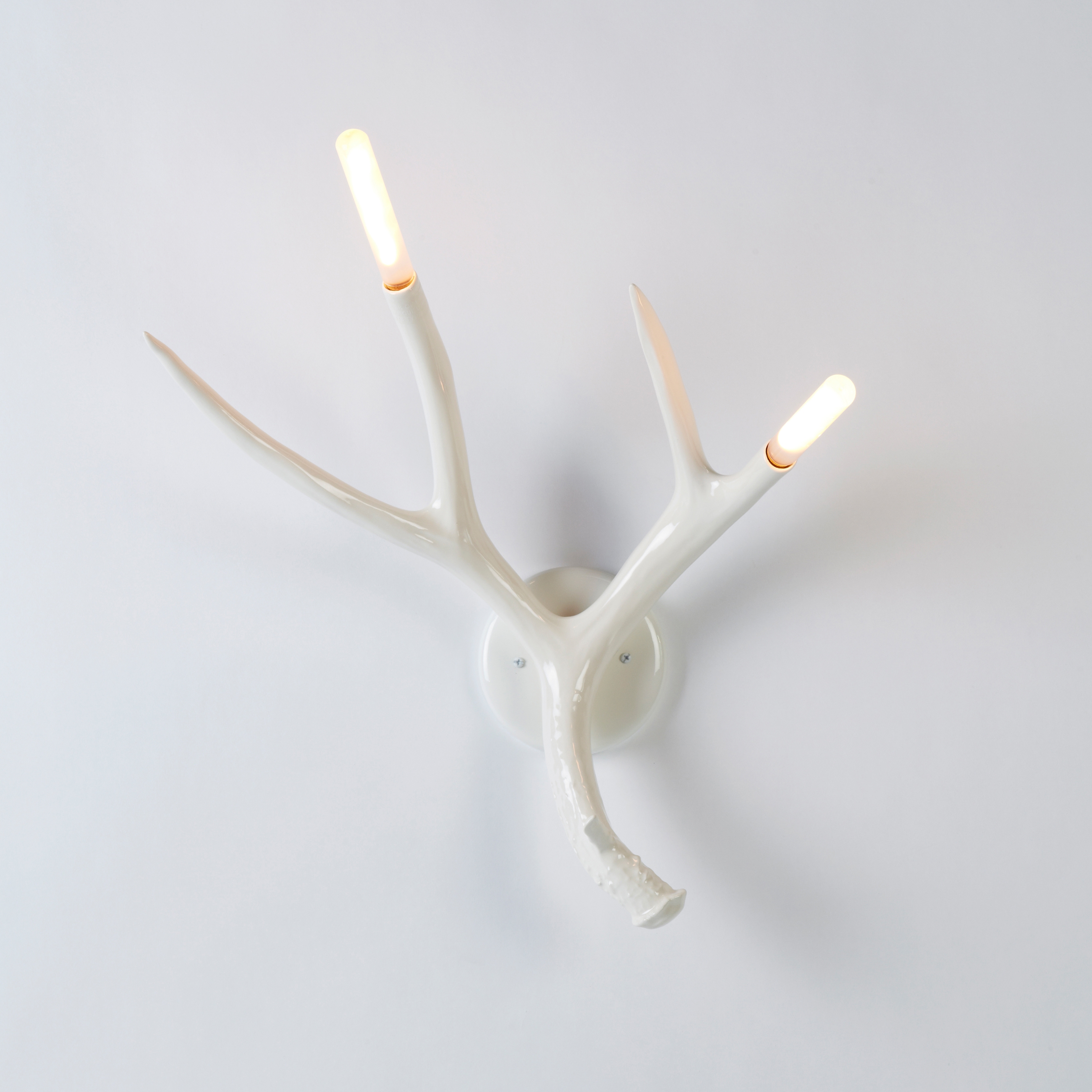Display product Superordinate Antler Sconce (White) from manufacturer Roll & Hill