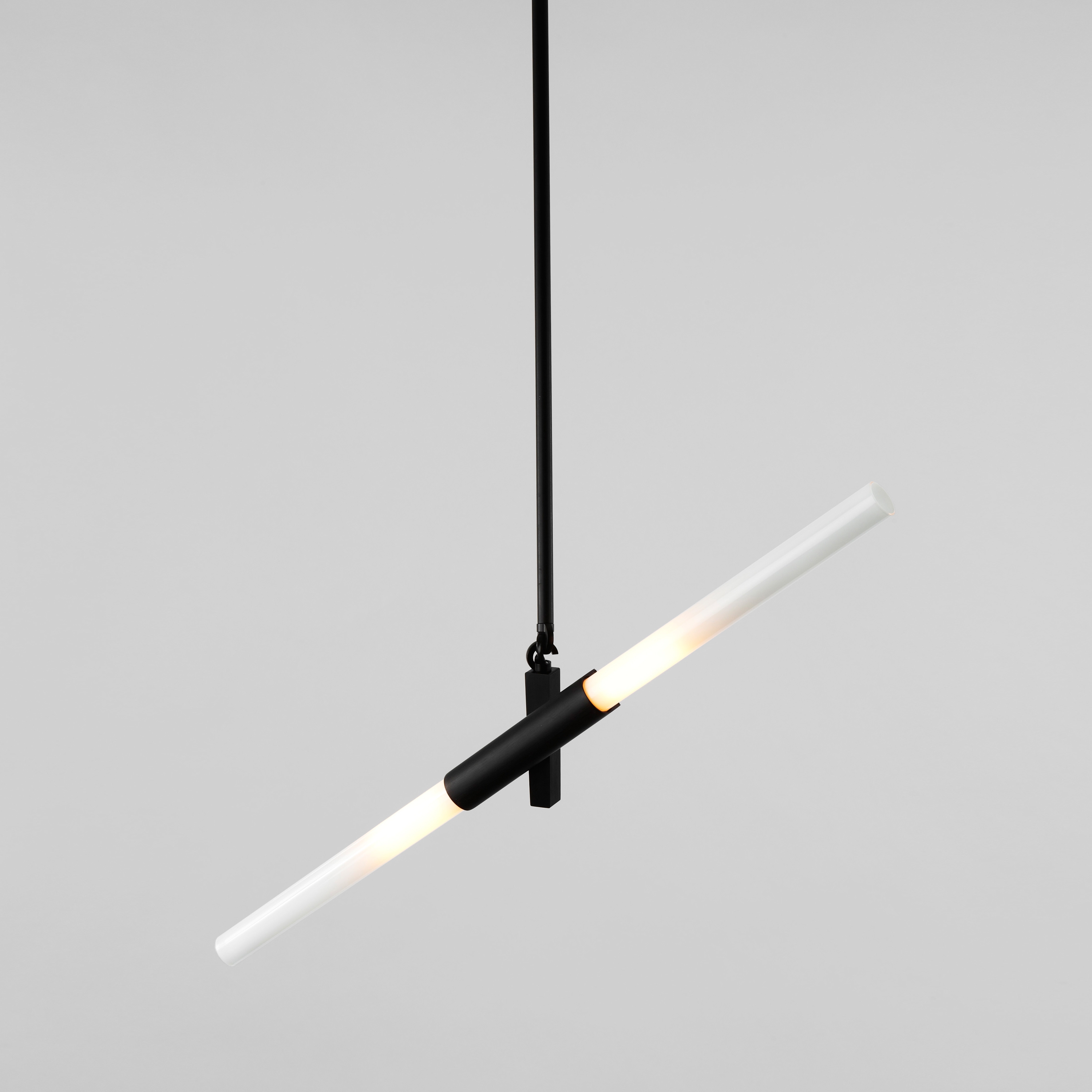 Display product Agnes Pendant - 2 Lights (Black) from manufacturer Roll & Hill