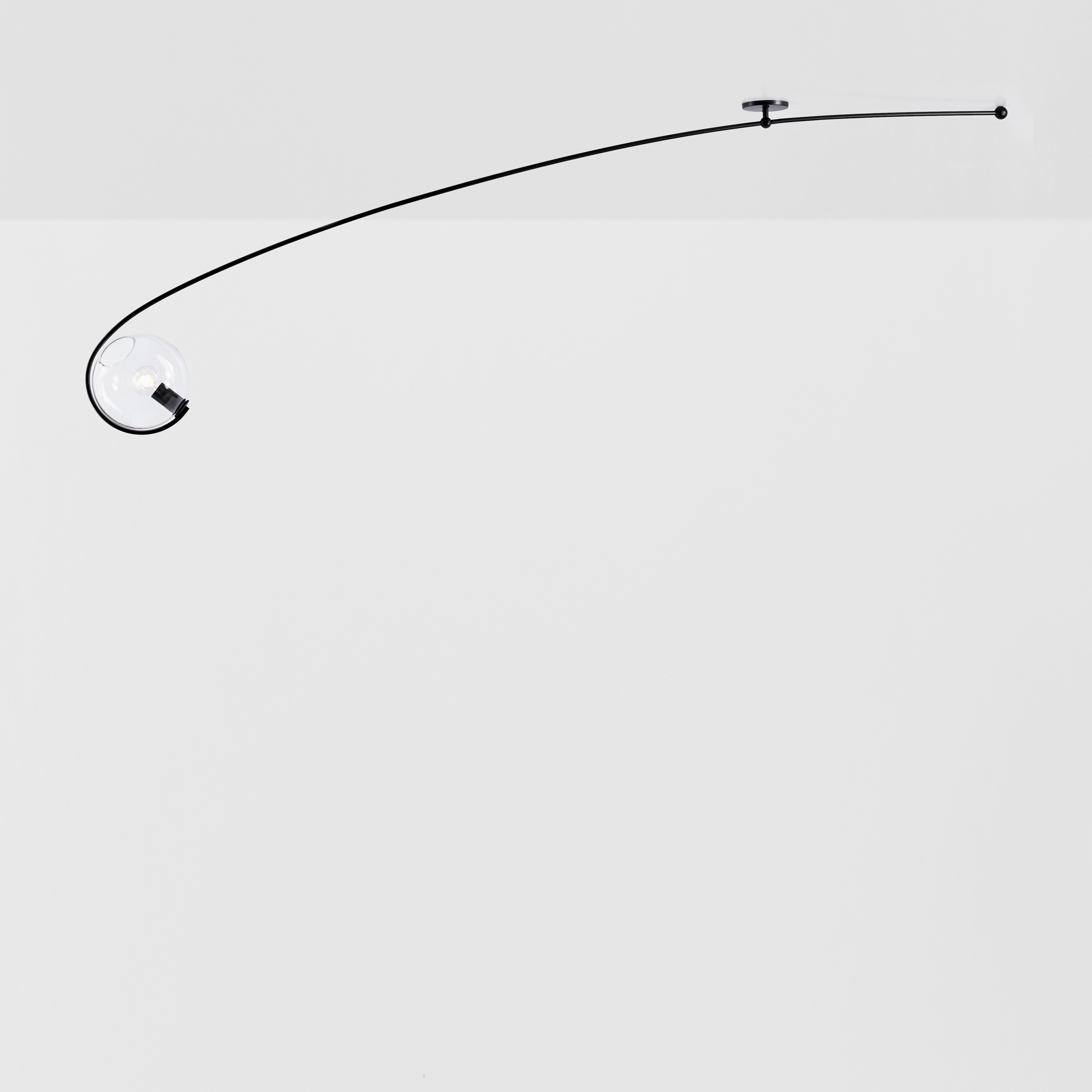 Fiddlehead Cantilever (Black/Clear)