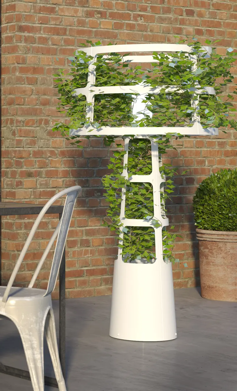 lasfera - Sophie planted