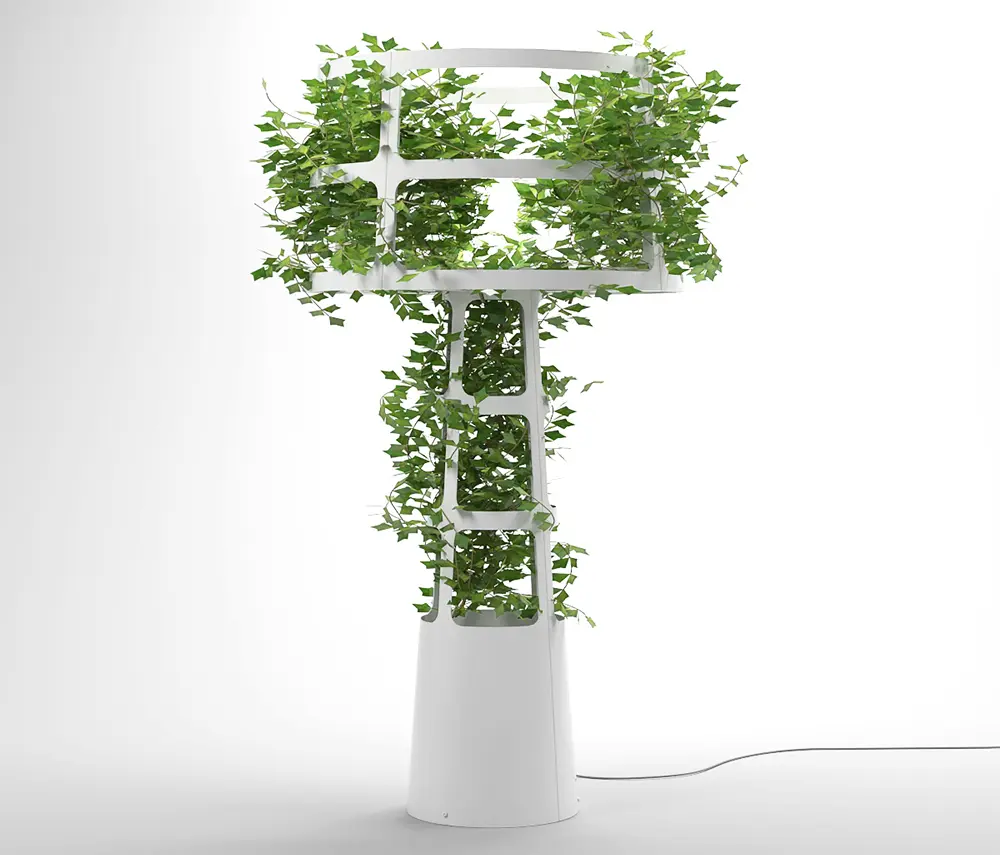 lasfera - Sophie planted