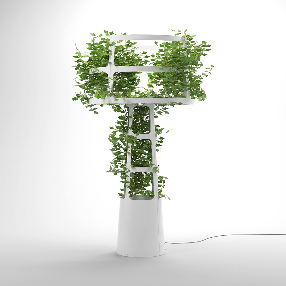 Produkt Sophie planted des Herstellers lasfera anzeigen