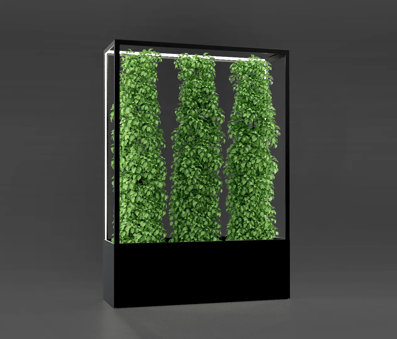 lasfera - Cube Wall 1600