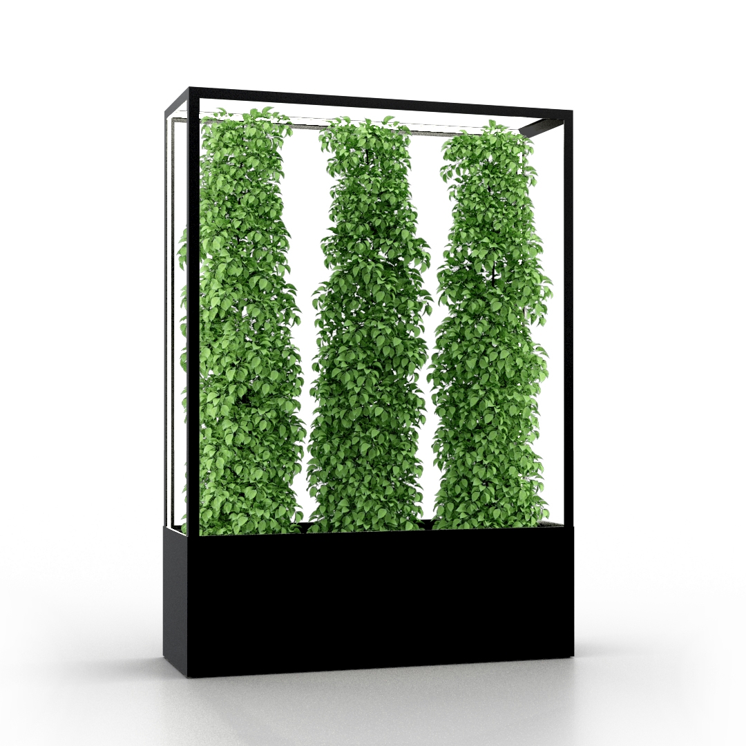 Cube Wall 1600