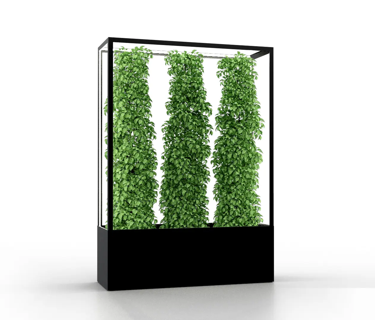 lasfera - Cube Wall 1600