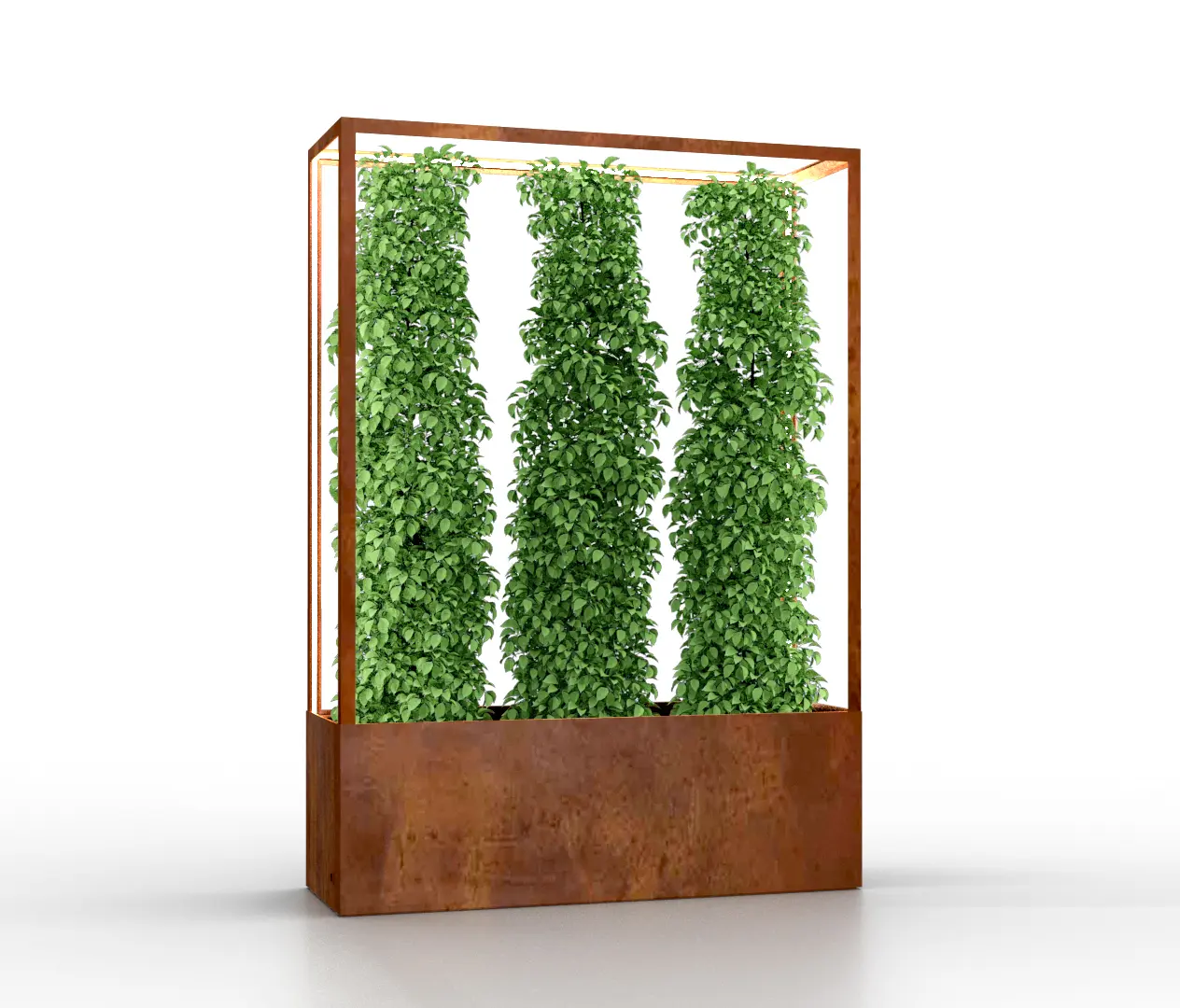 lasfera - Cube Wall 1600