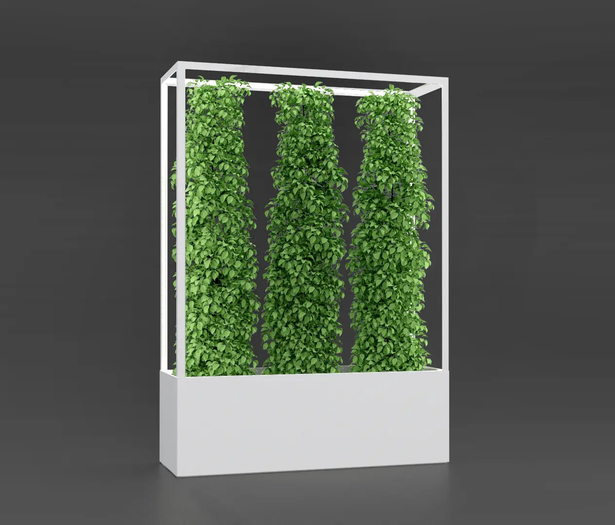 lasfera - Cube Wall 1600