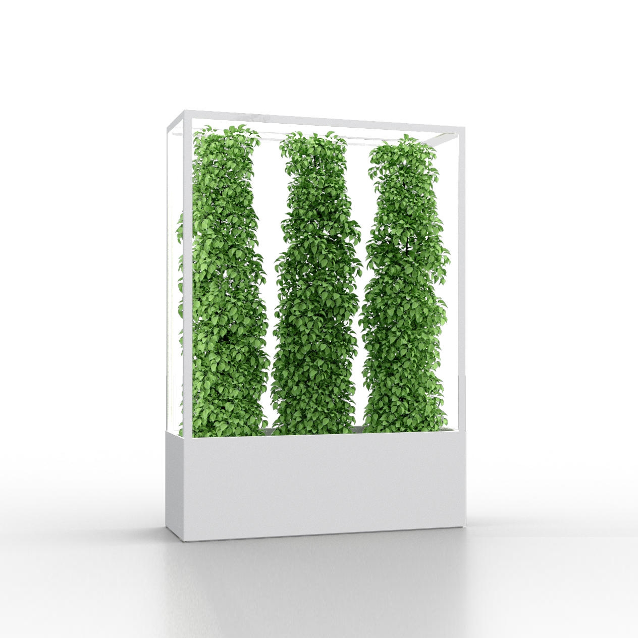 Display product Cube Wall 1600 from manufacturer lasfera