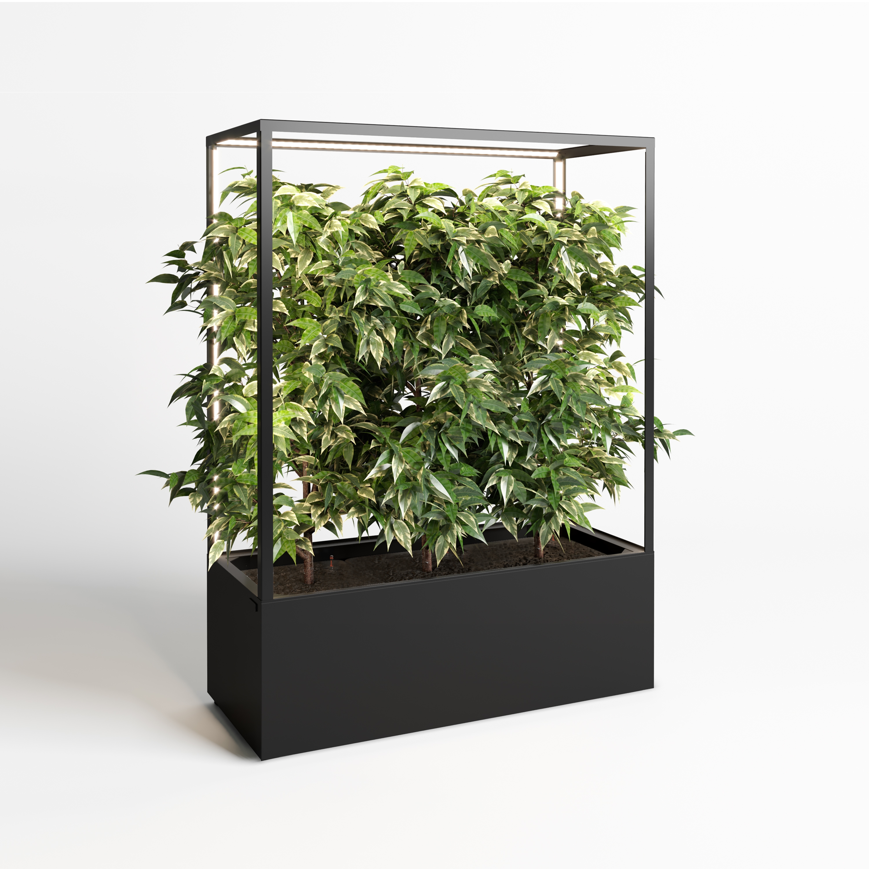 Display product Cube Wall 1600 from manufacturer lasfera