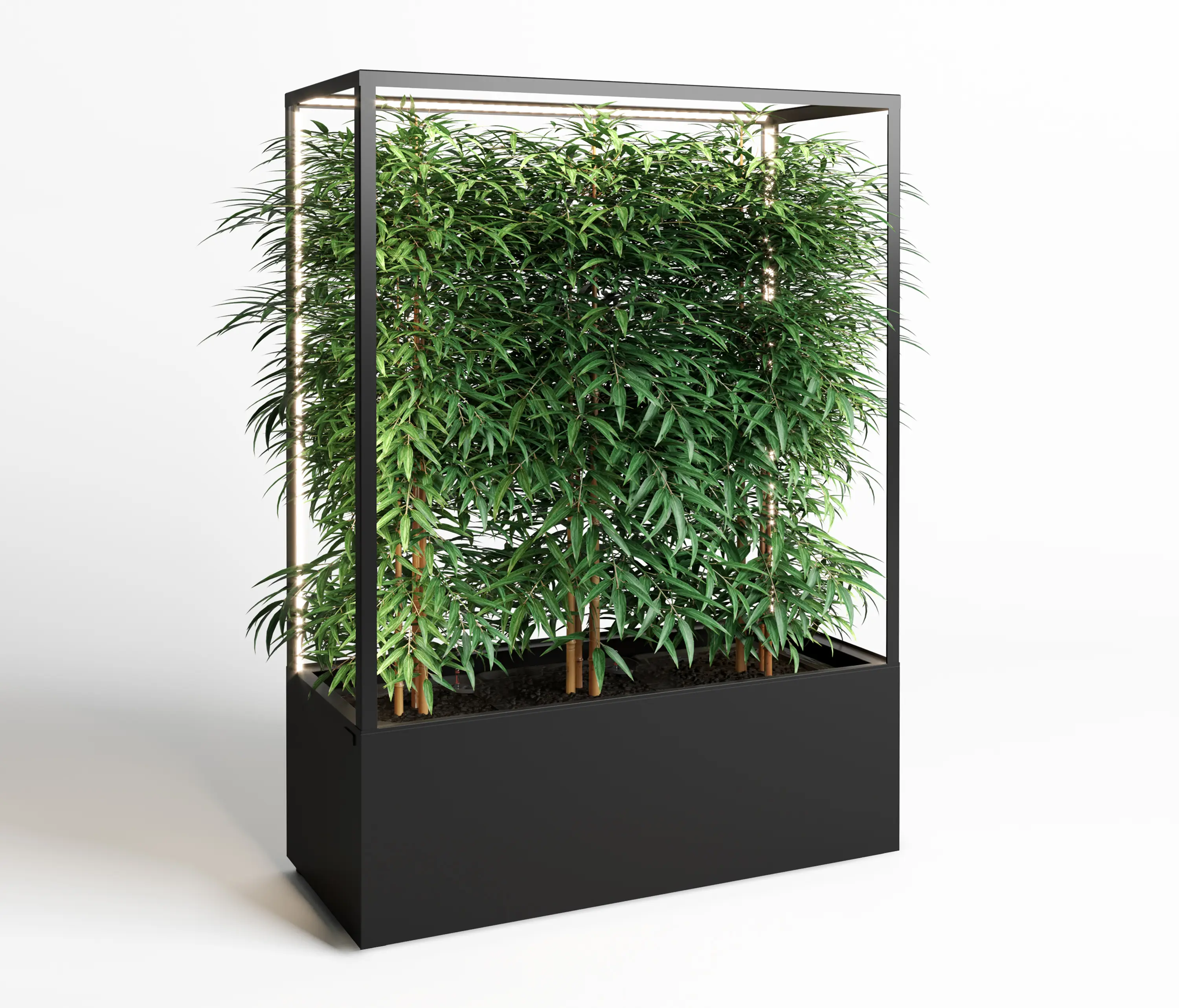 lasfera - Cube Wall 1600