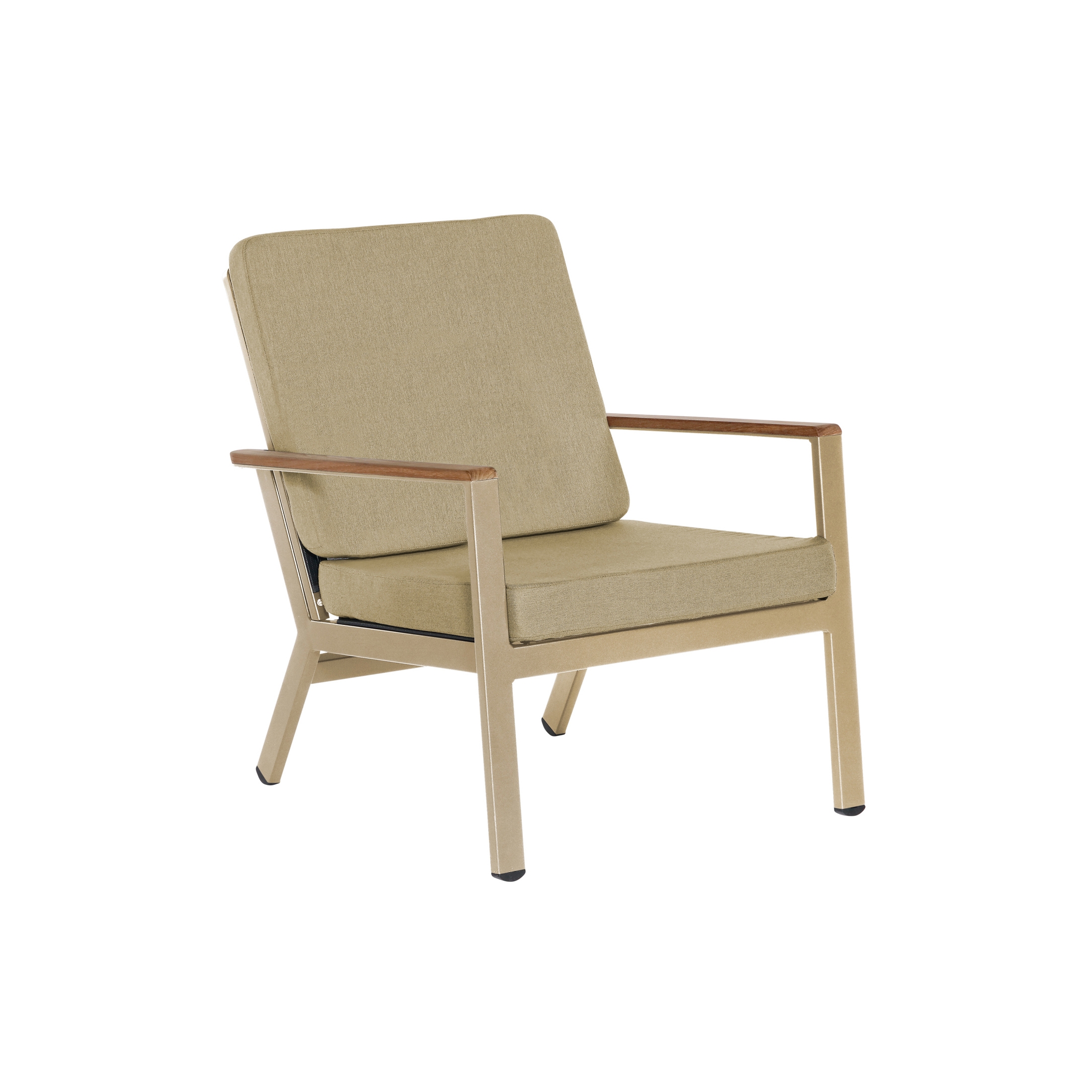 Aura Lounge Chair DS (Champagne Frame)