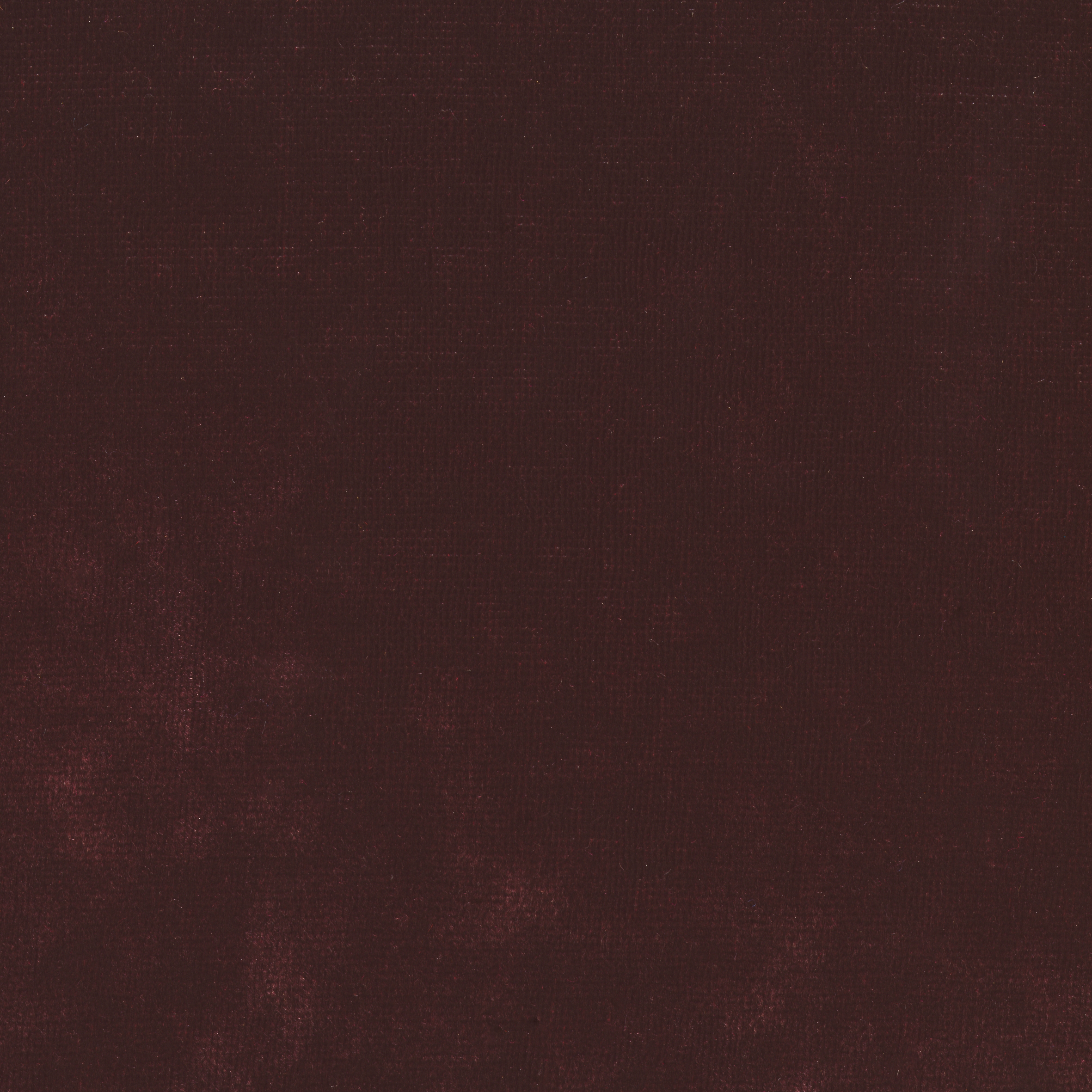 Velours Décontracté - Aubergine