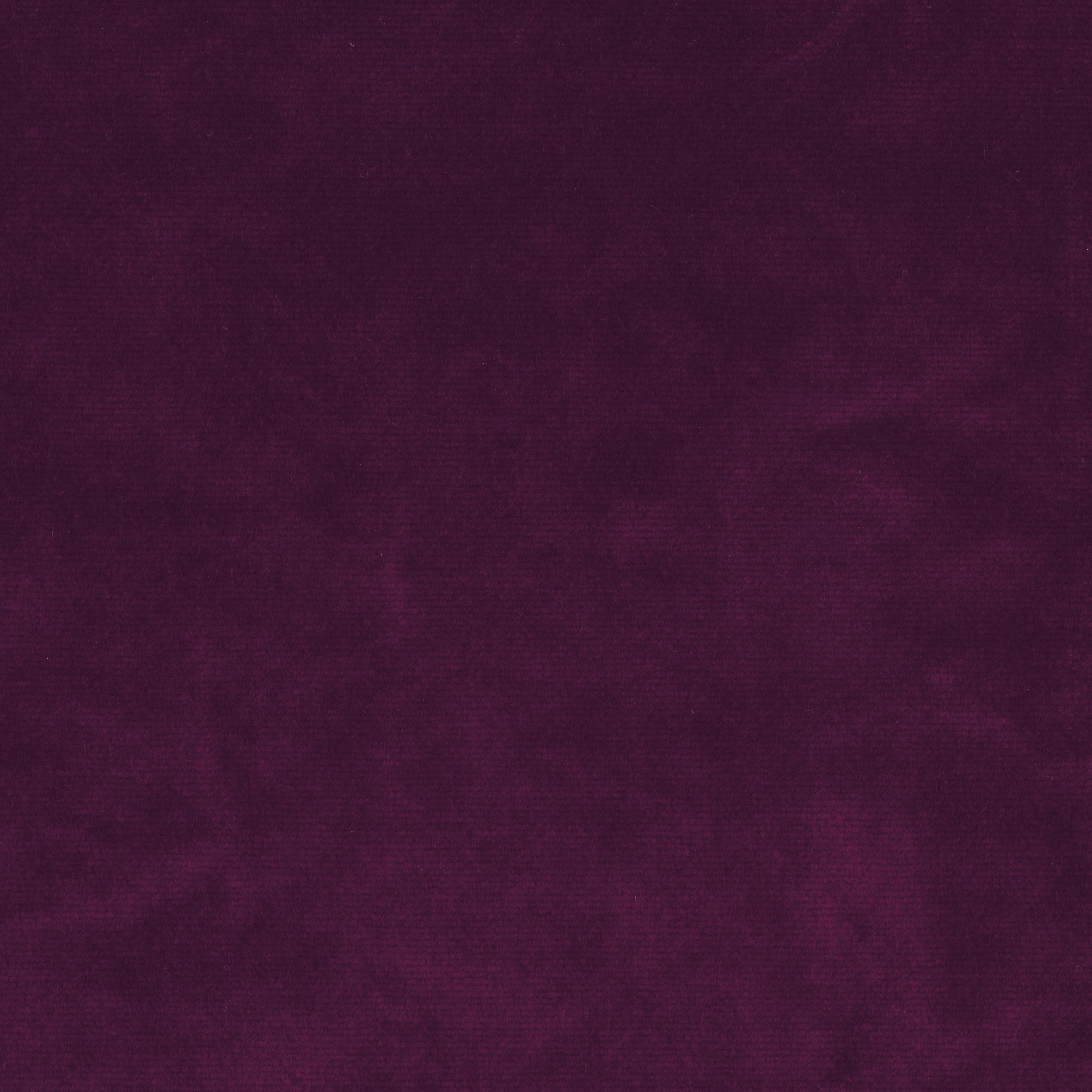 Velours Décontracté - Violet