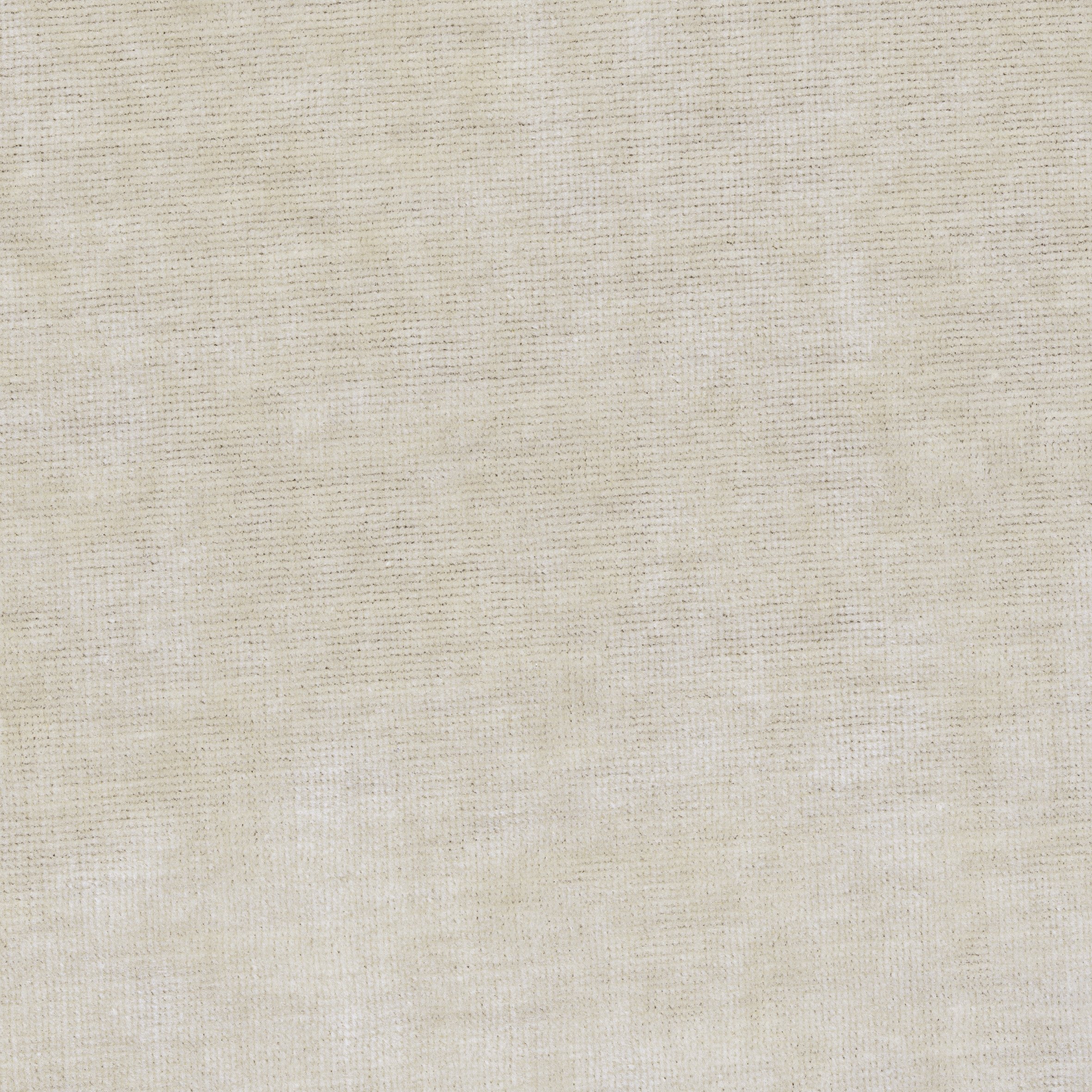 Velours Décontracté - Ivory