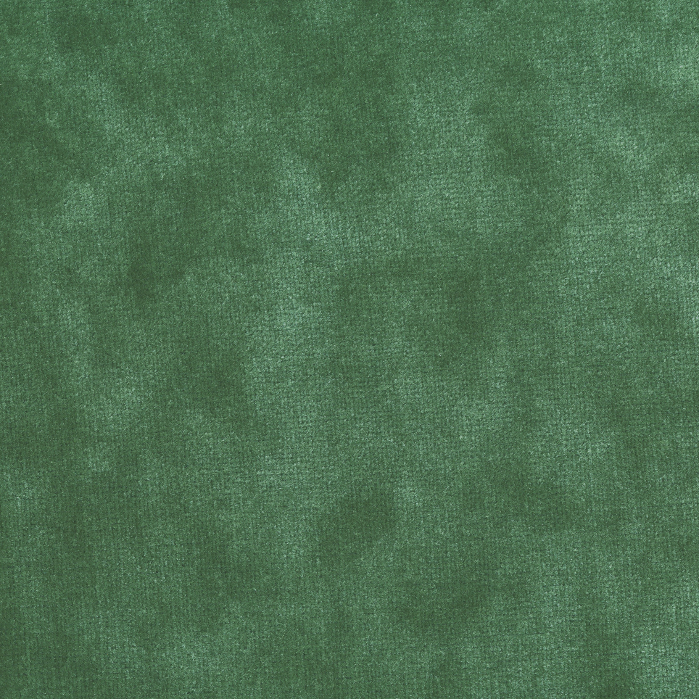 Velours Décontracté - Celadon