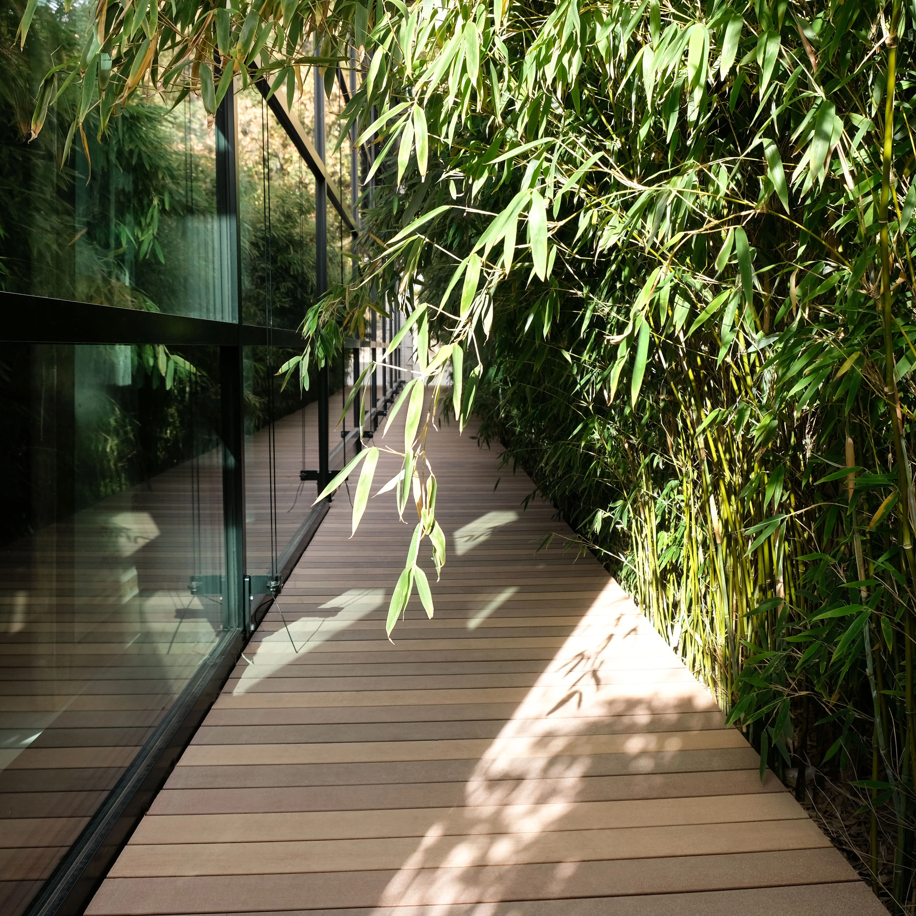 PREMIUM WPC SOLID BOARDS