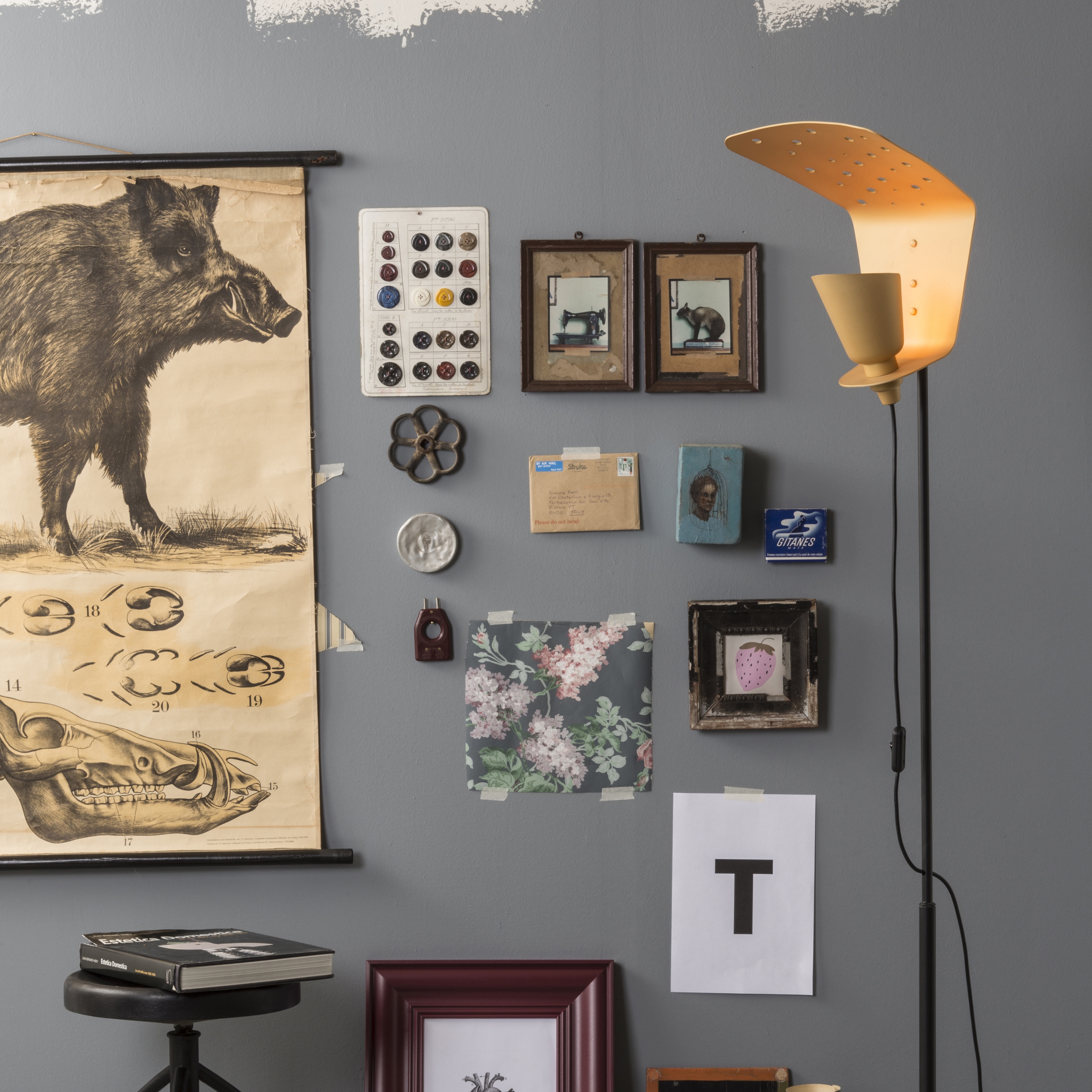 Mostra il prodotto Tractor del produttore Toscot