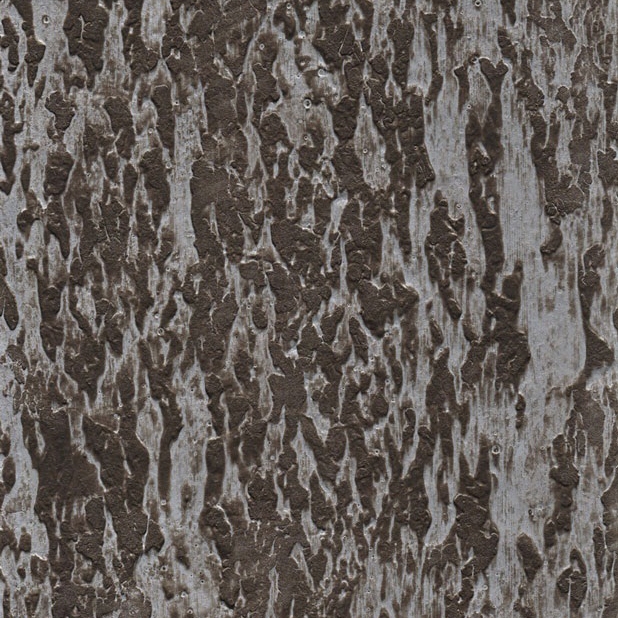 Cortex Pumice