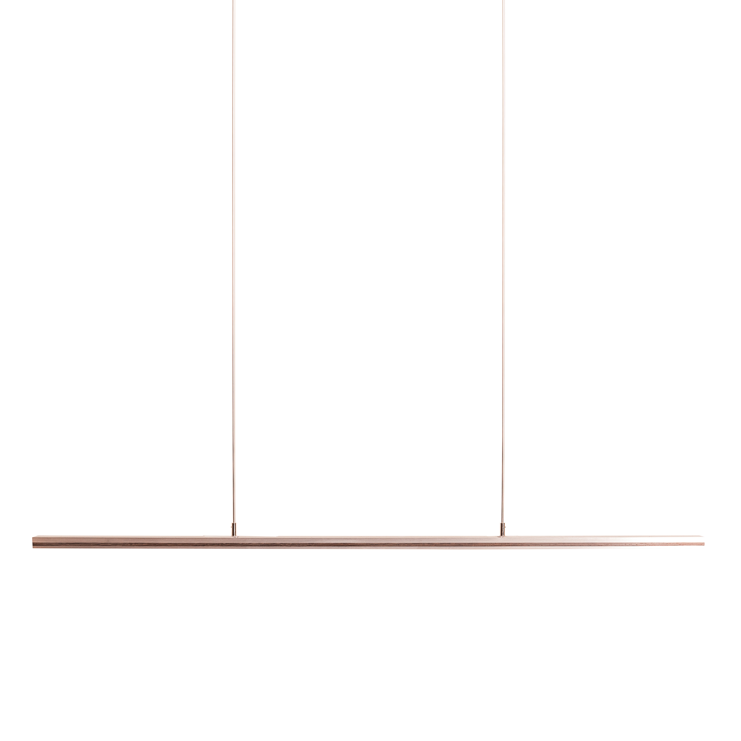 Mostrar el producto B.E.S. suspended light del fabricante FERROLIGHT Design