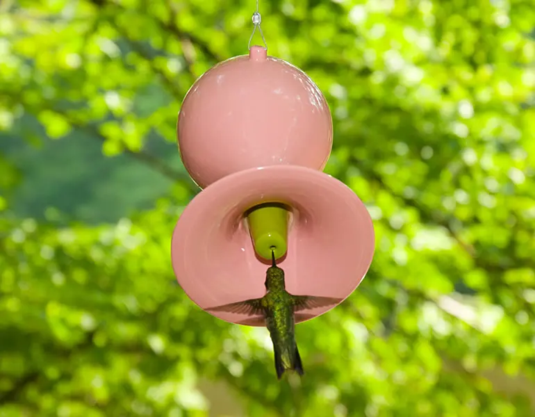 J Schatz - Hummingbird Feeder