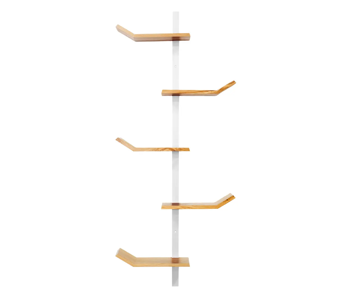 Eastvold - Palm Shelf