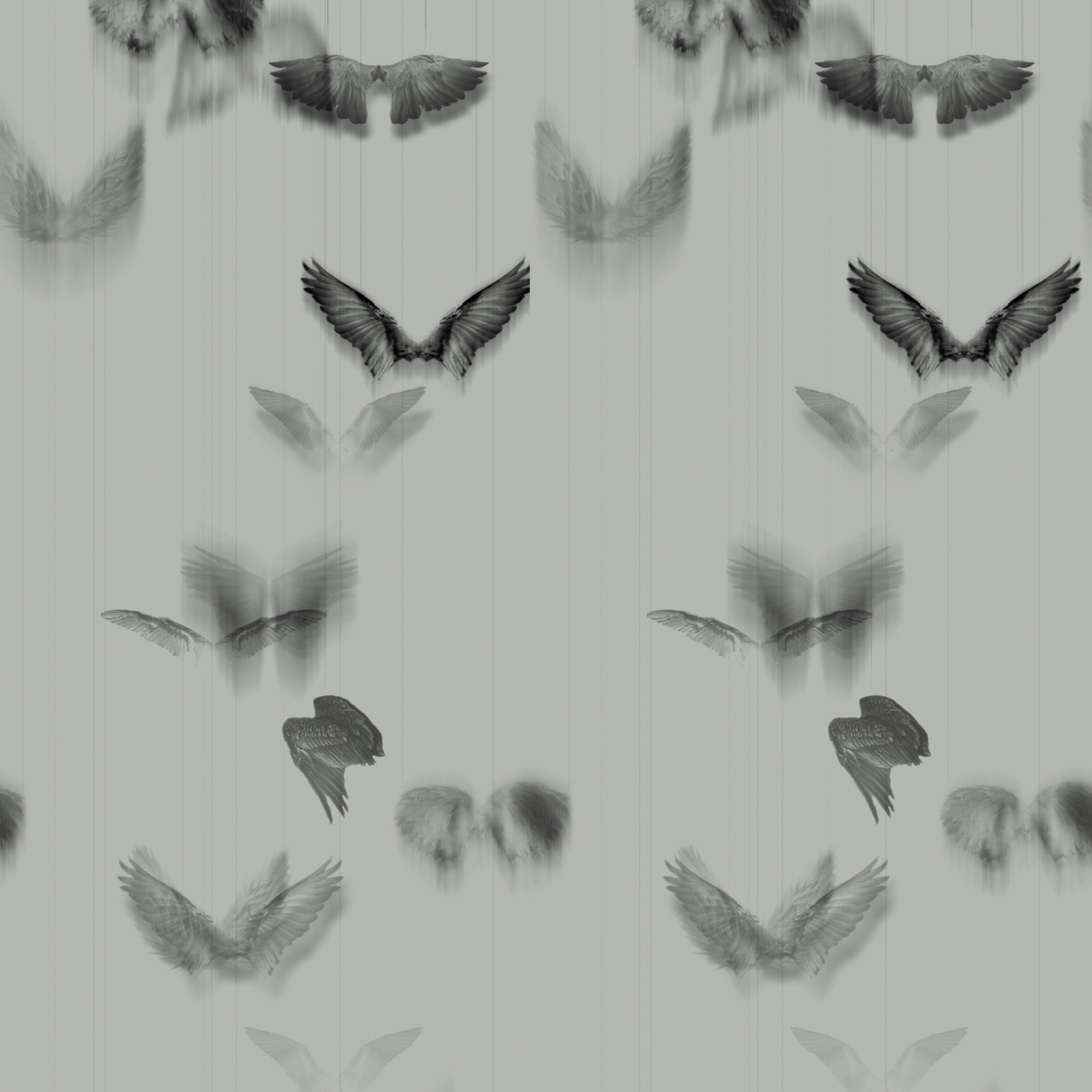 Alar 004 Wallpaper