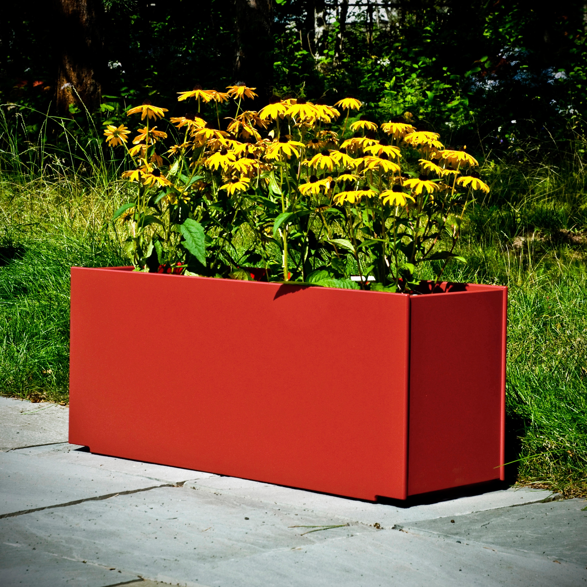 PLANTERS