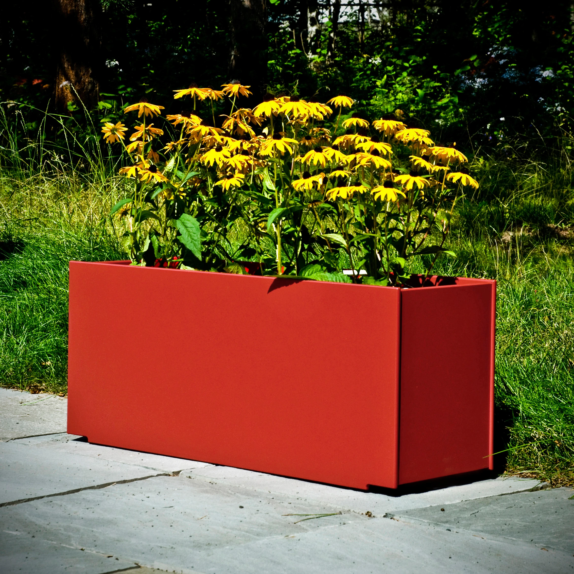 PLANTERS