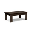 Lollygagger Coffee Table rectangle