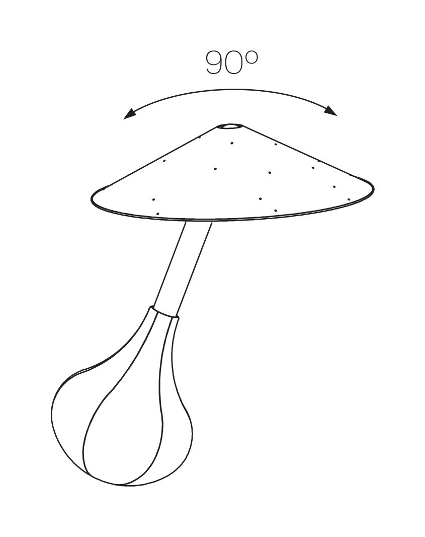 Thumbnail for image 3