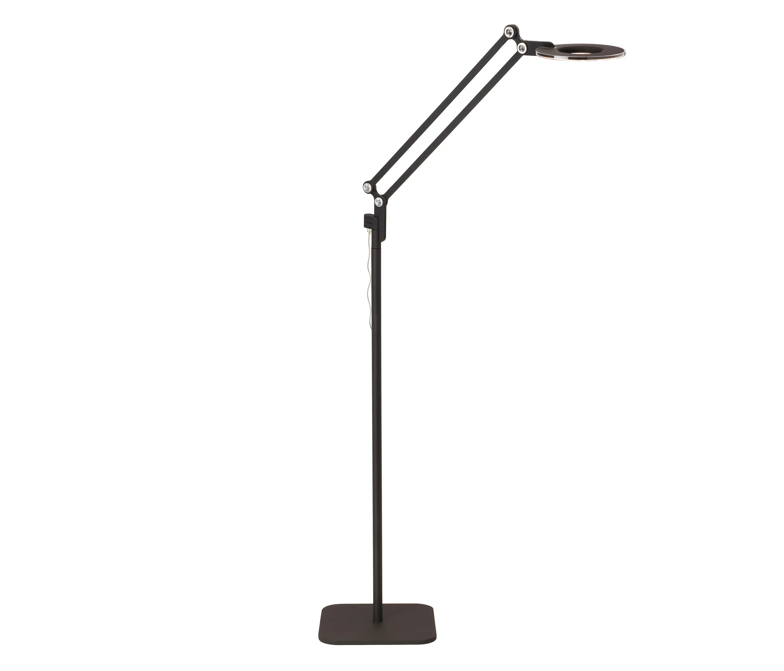 Pablo - Link Floor small