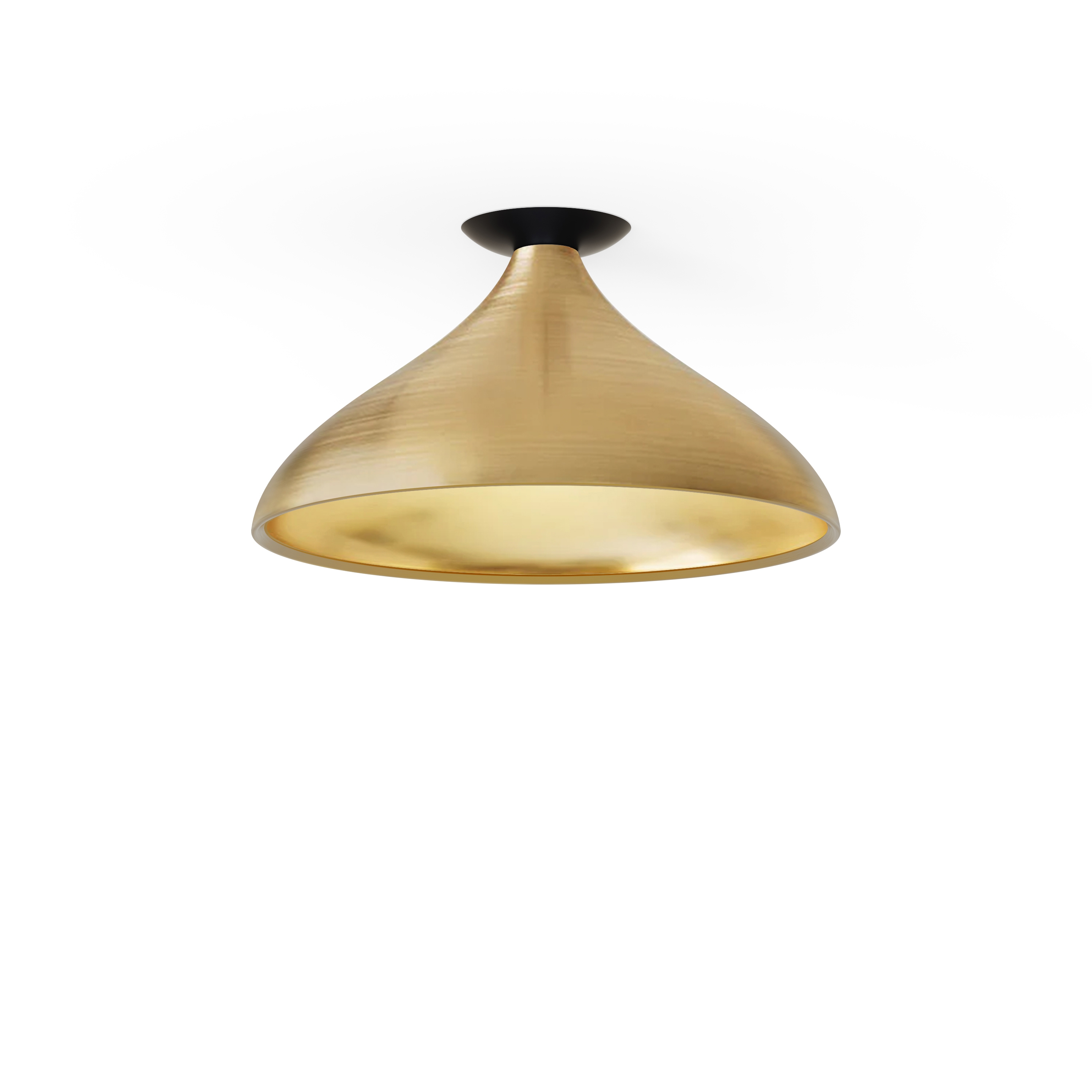 Swell Single Wide Flush Lamp (Brass Exterior, Brass Interior)