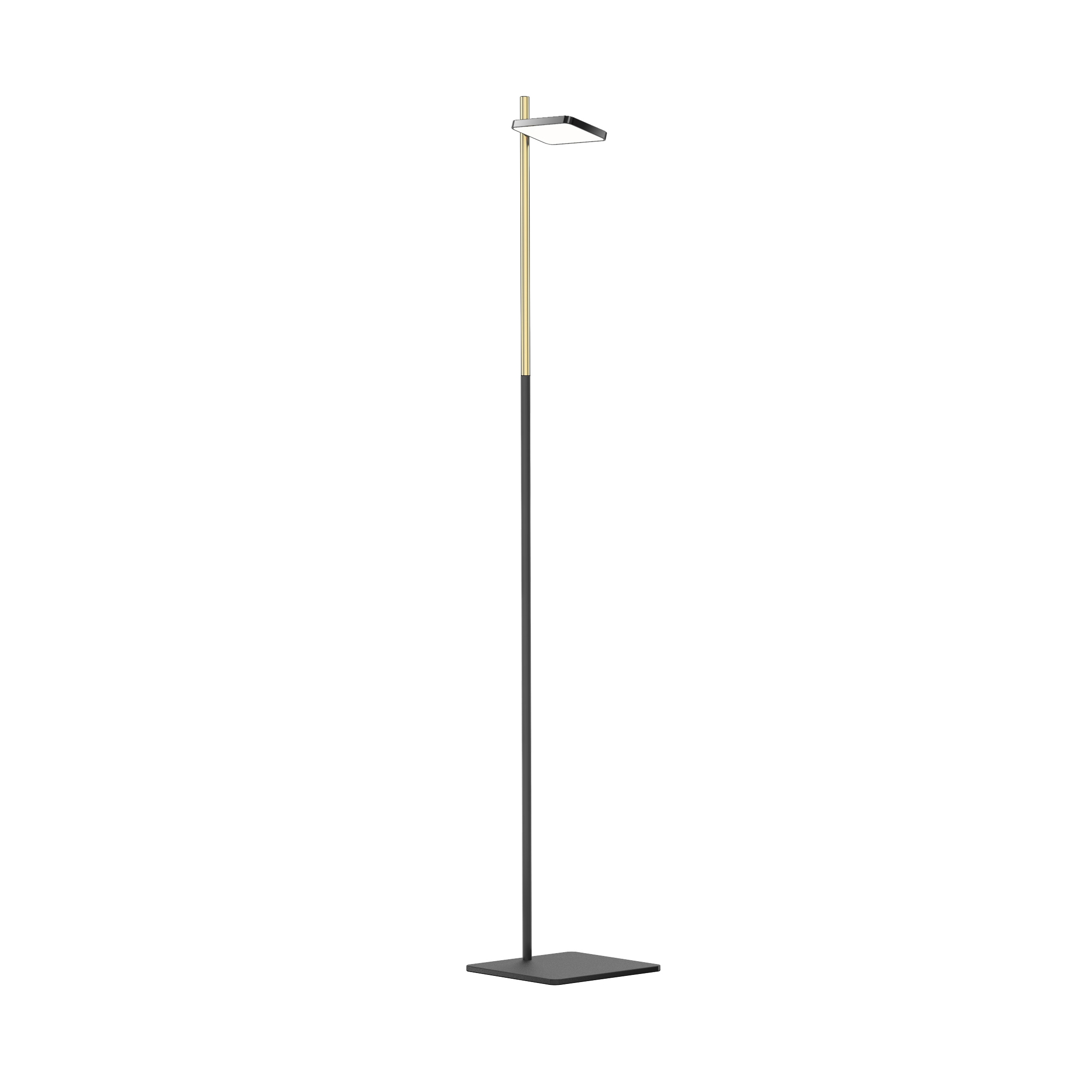 Talia Floor - Black / Brass Post