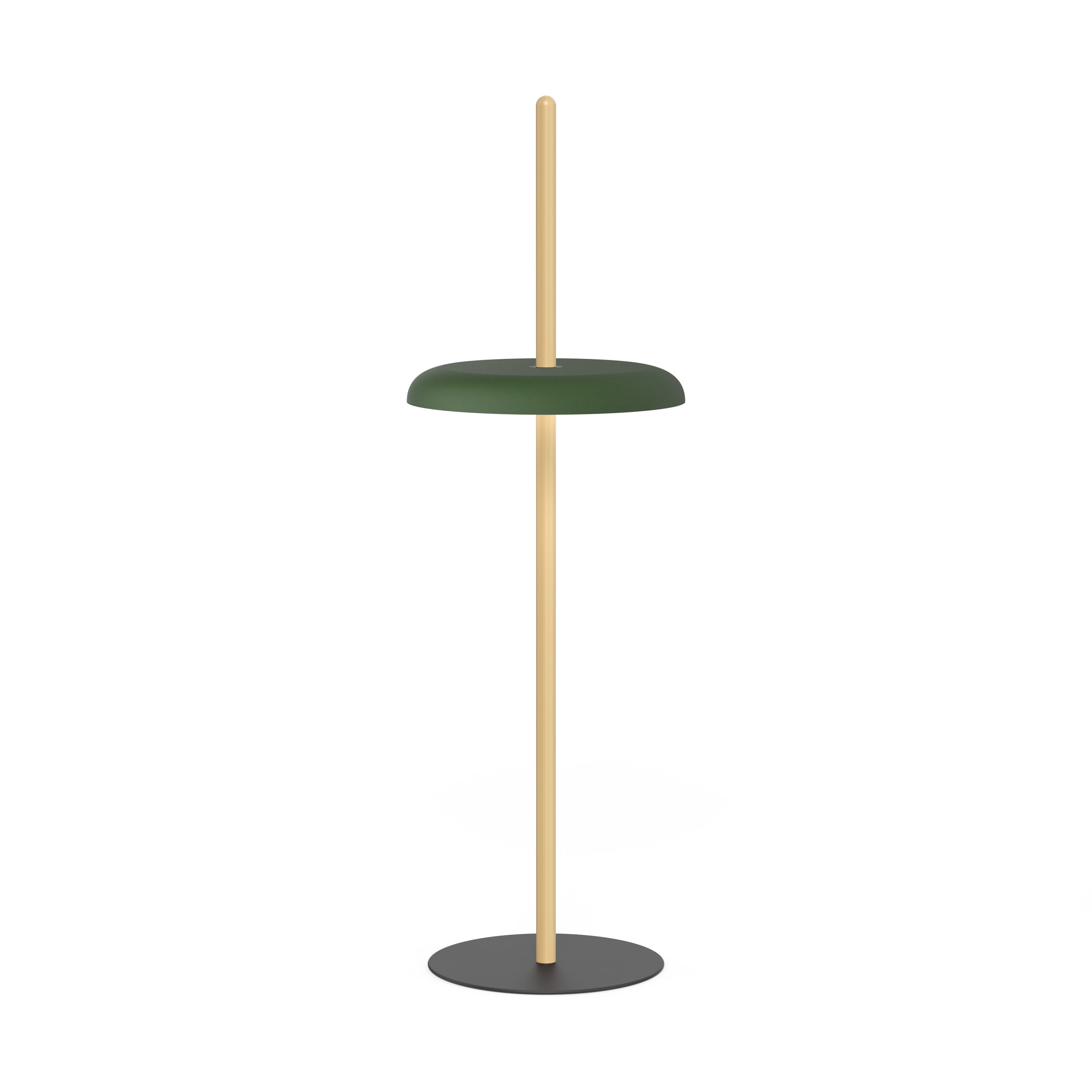 Display product Nivel Floor White Oak with Forest Green Shade from manufacturer Pablo