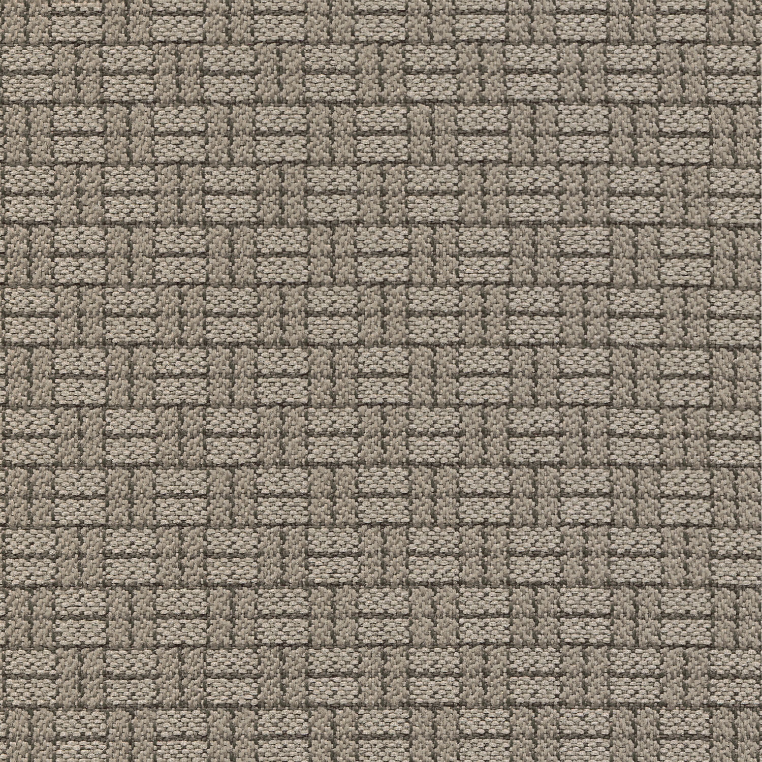 One.Two.Three Taupe