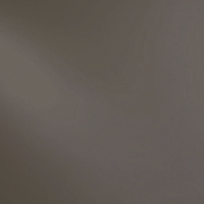 Colour Bronze GL2