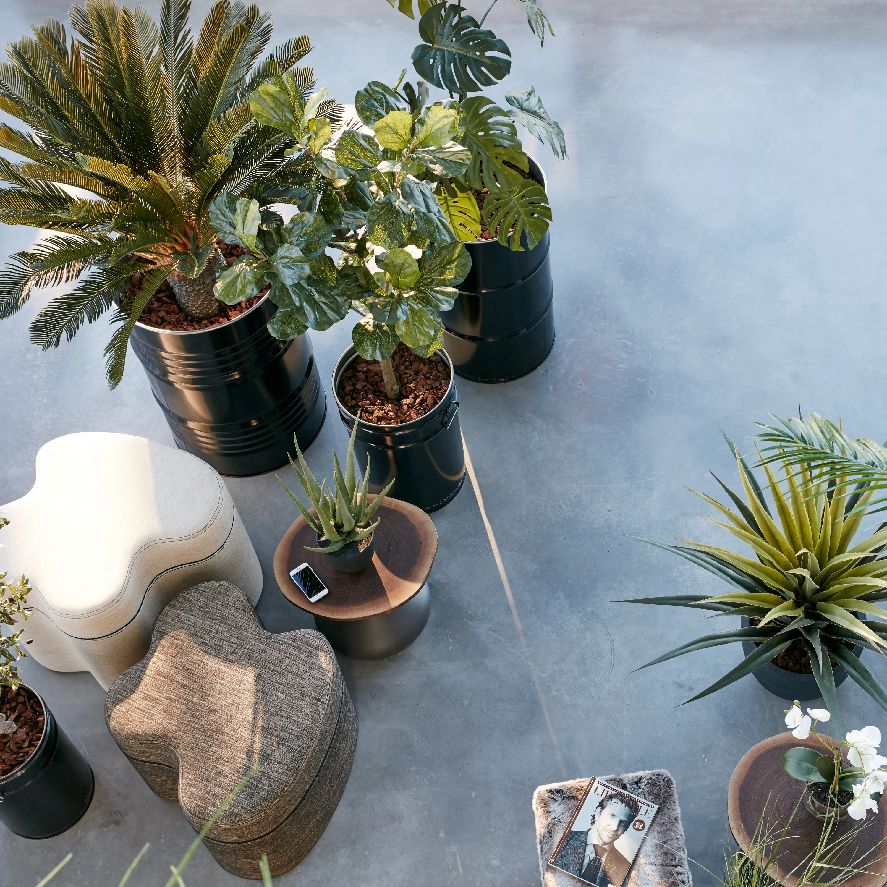 PLANTES DE ARTIFICIELLES