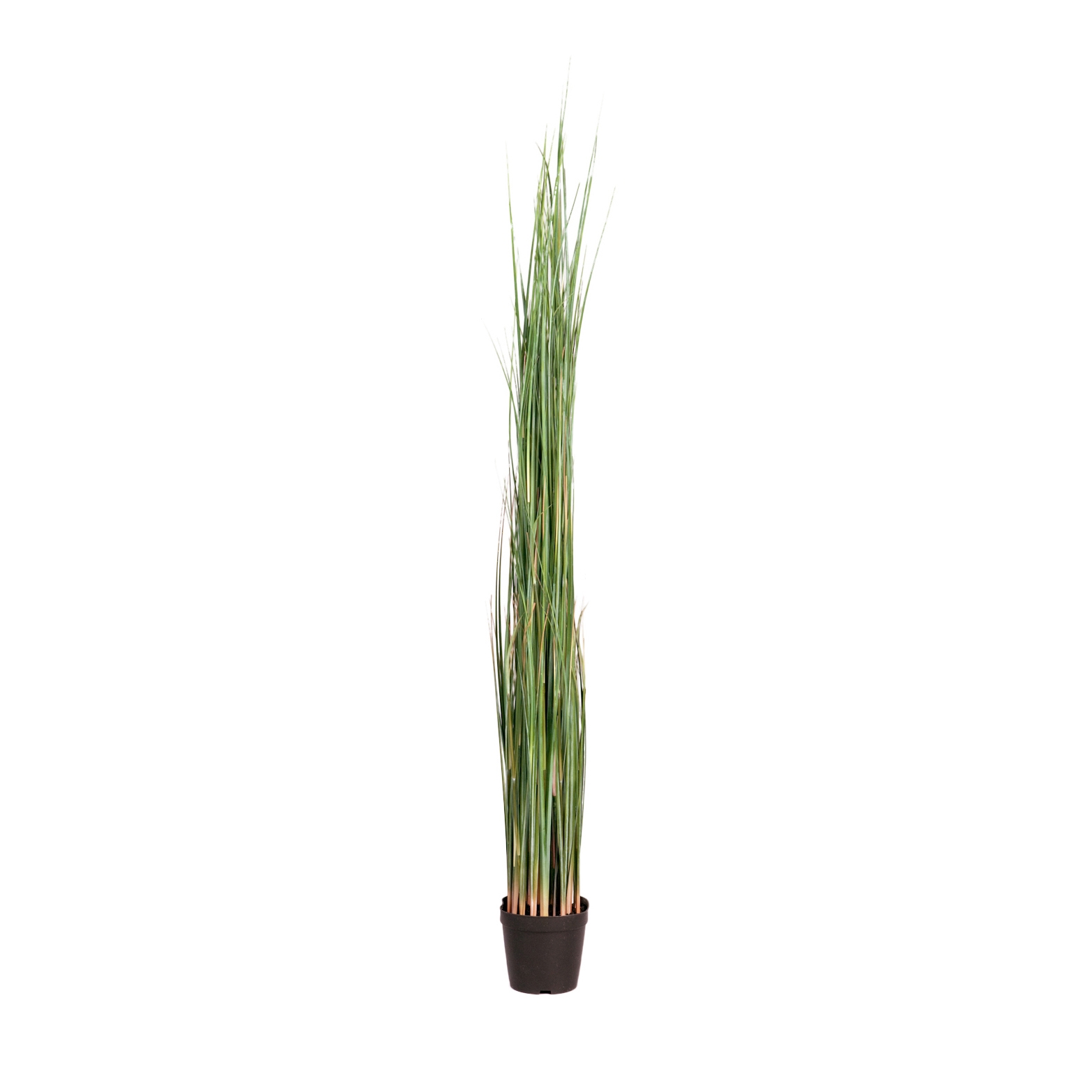 Display product Artificial Plants | Grass in a pot large from manufacturer Götessons