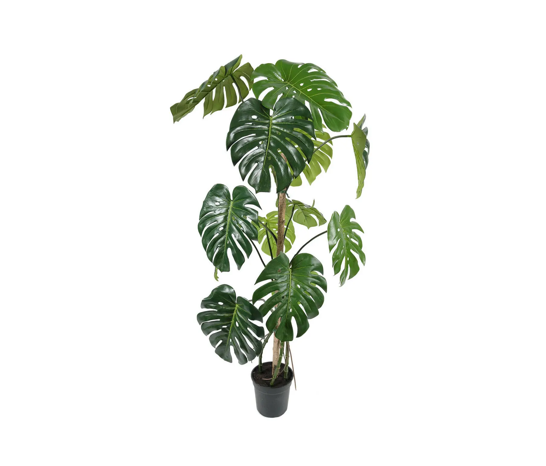 Götessons - Artificial Plants | Monstera