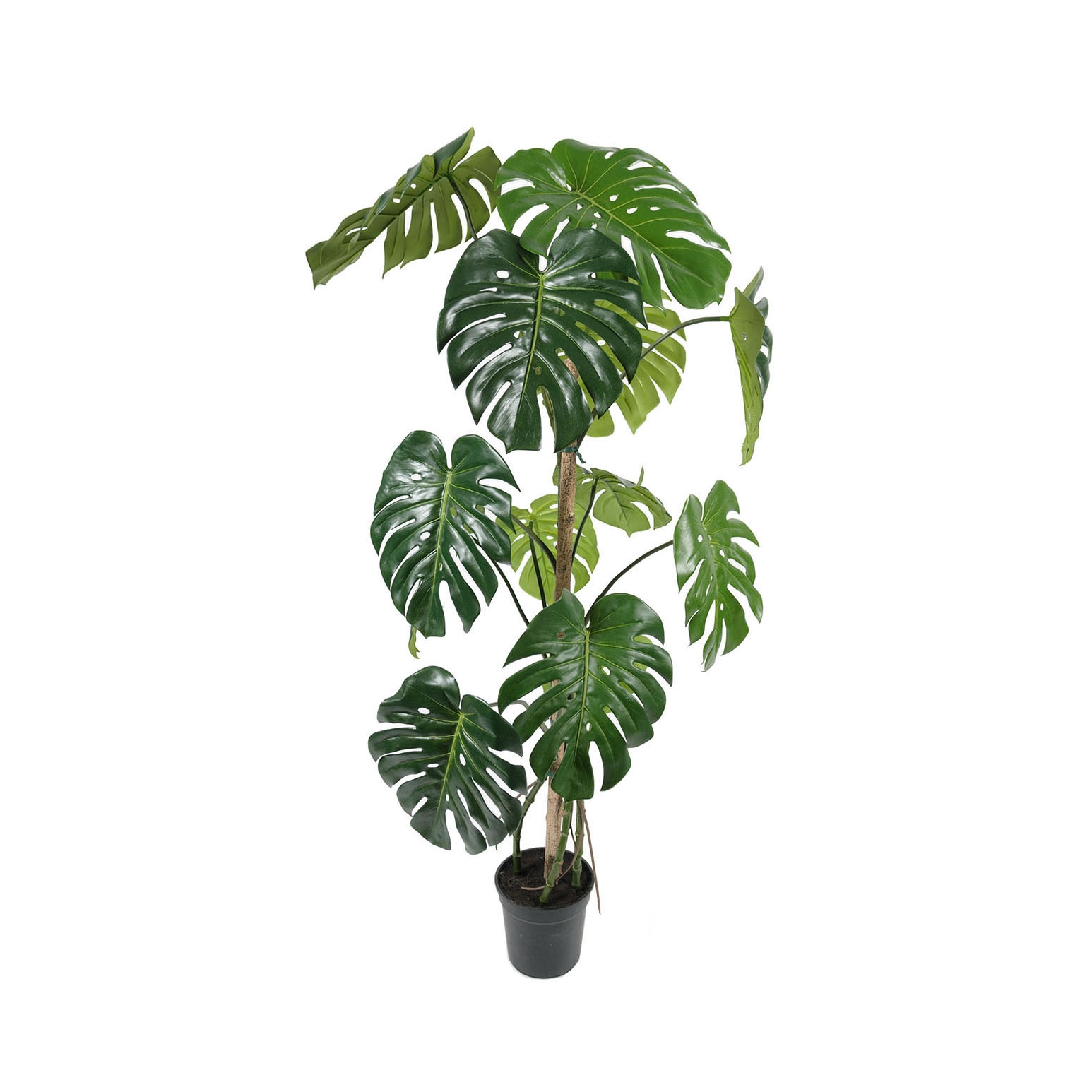 Display product Artificial Plants | Monstera from manufacturer Götessons