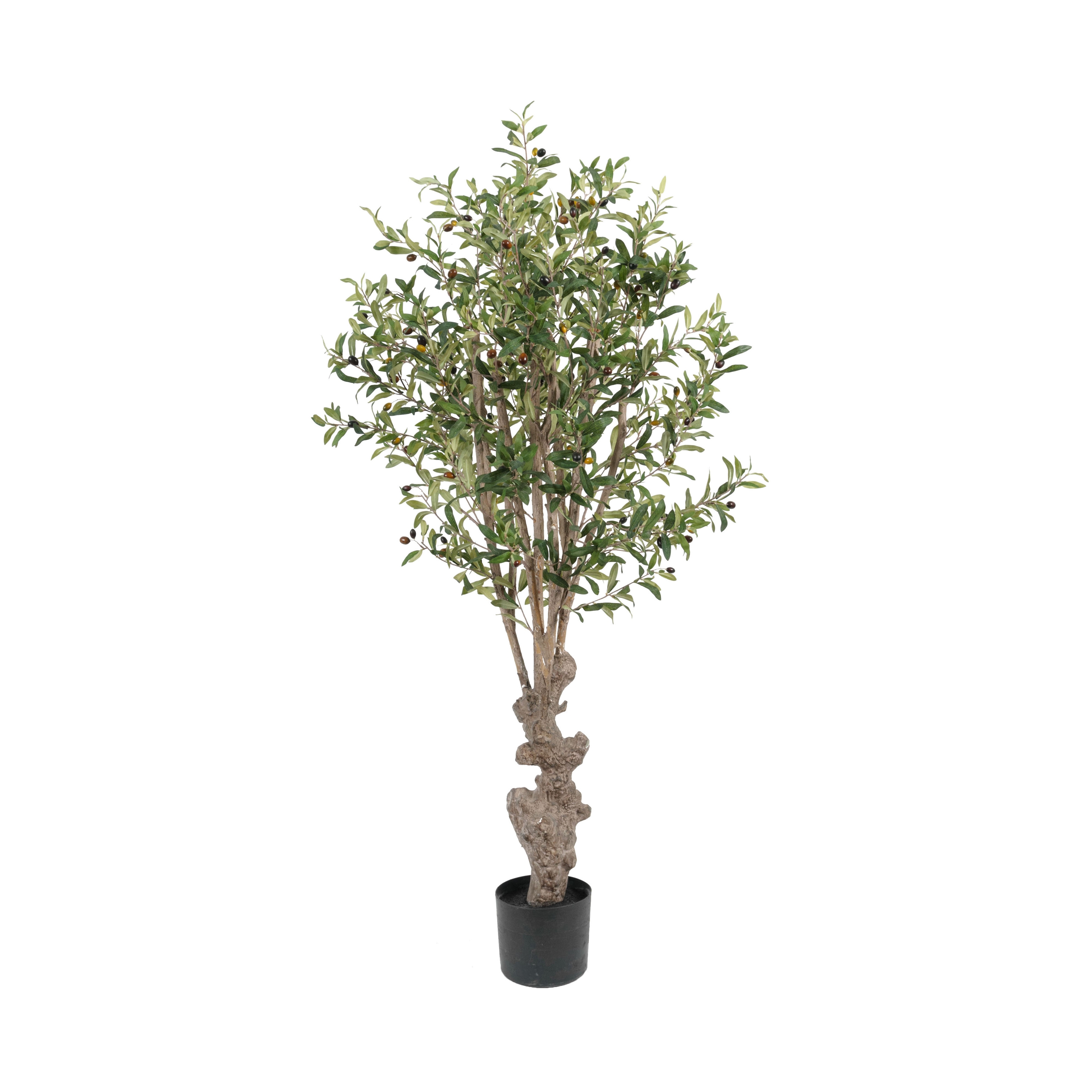 Display product Artificial Plants | Olive Tree from manufacturer Götessons