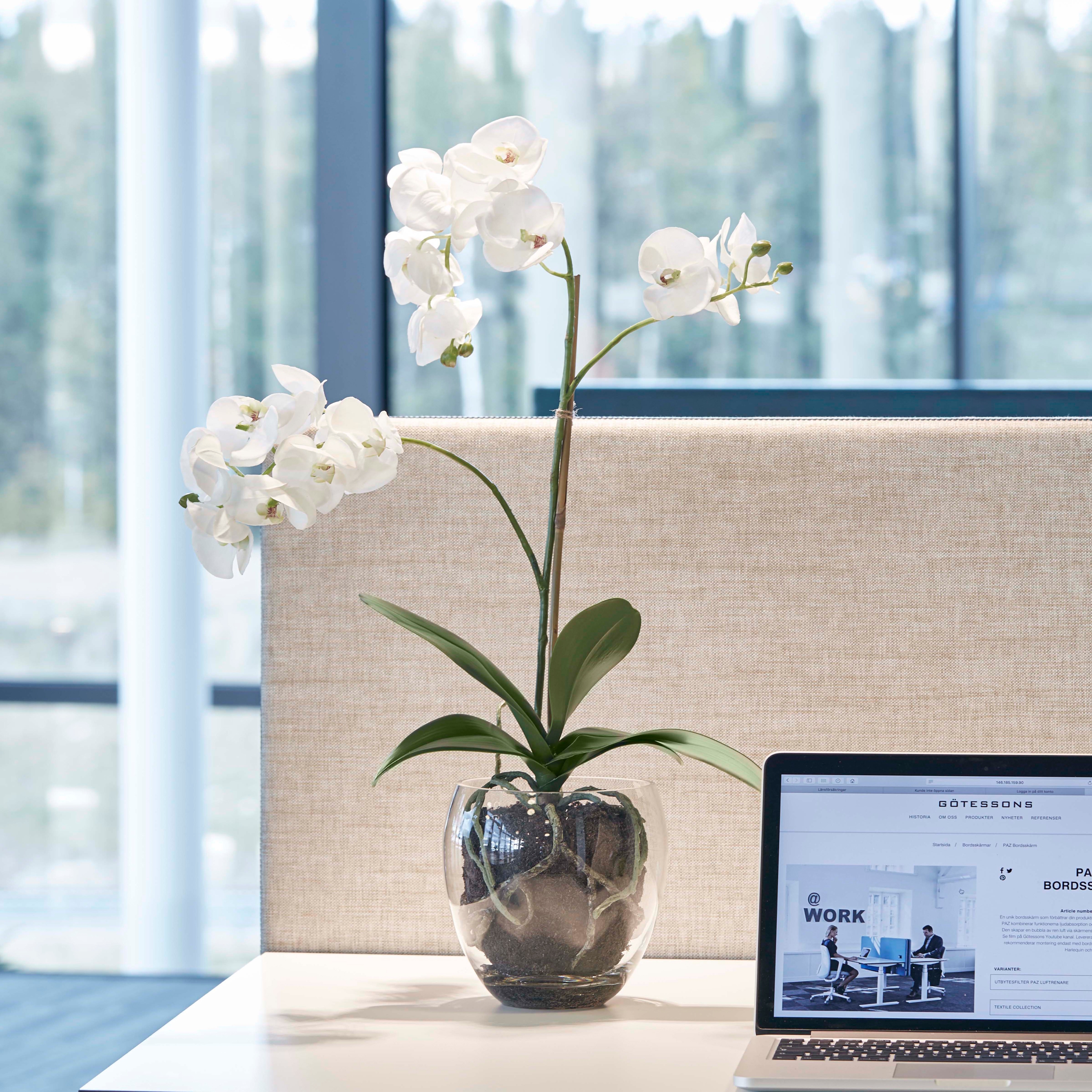 Display product Artificial Plants | Orchid Phalaenopsis incl. glass pot from manufacturer Götessons