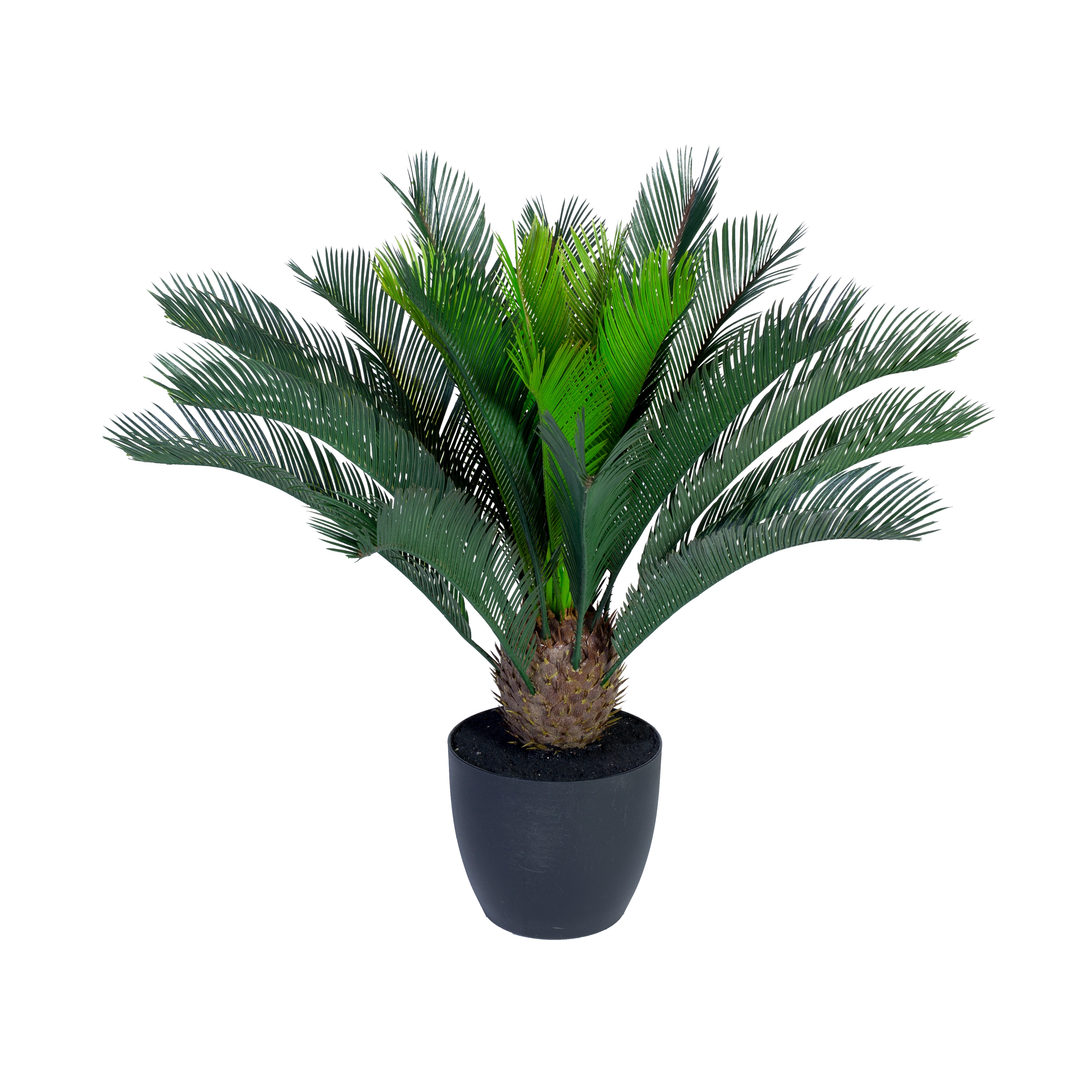 Display product Artificial Plants | Cycas Palm small from manufacturer Götessons